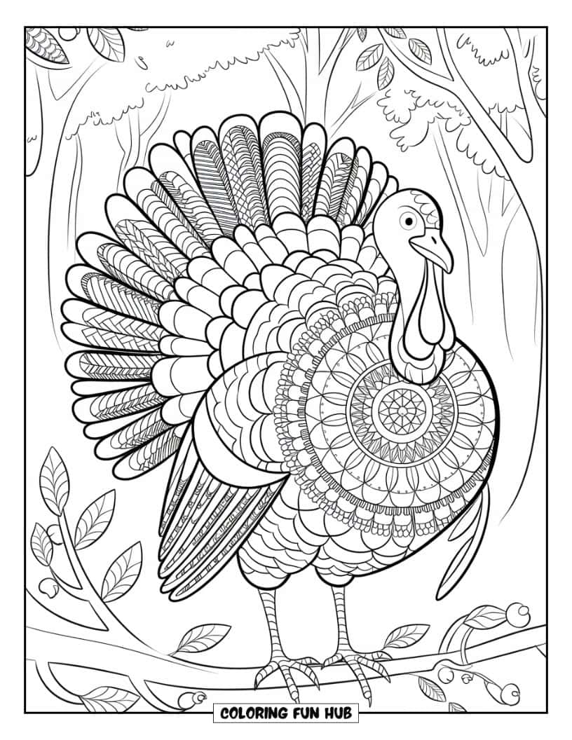 Thanksgiving Kleurplaat voor Volwassenen: Het lichaam van een kalkoen met ingewikkelde mandala-patronen op zijn veren