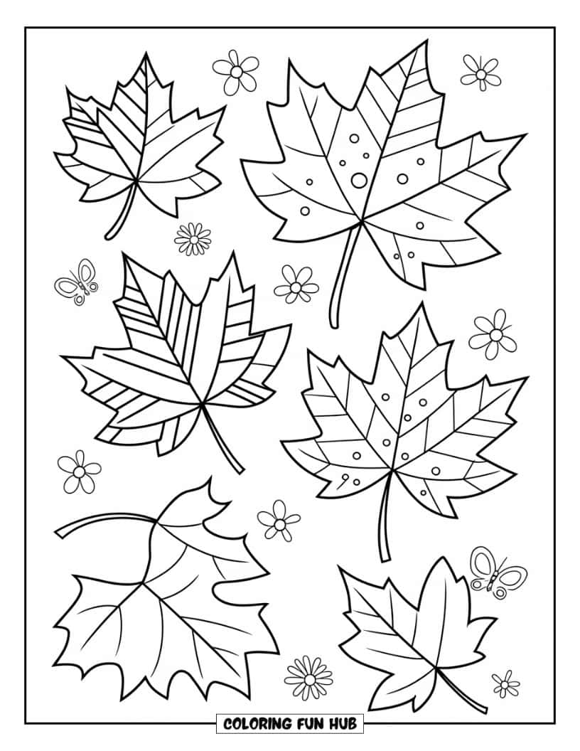 Thanksgiving Kleurplaat voor Kinderen: Schattige esdoornbladeren met strepen, stippen en andere patronen