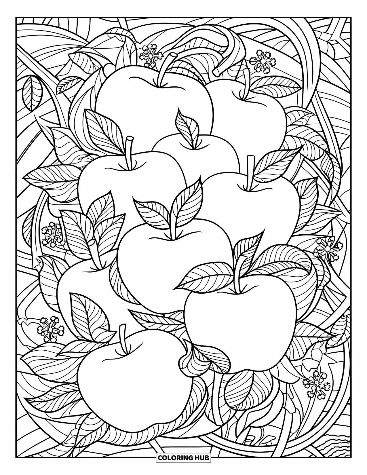 Coloriage de pomme pour adultes : Des pommes qui se chevauchent avec des vignes tourbillonnantes, des accents floraux et des motifs entrelacés complexes