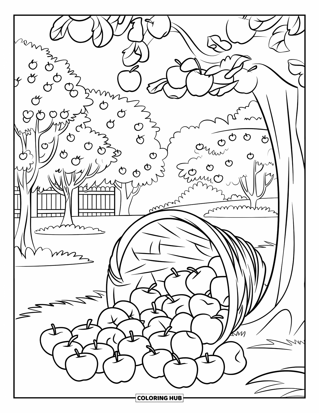 Coloriage de pomme pour enfants : Un panier de pommes près d'un arbre avec des pommes dans un verger d'automne