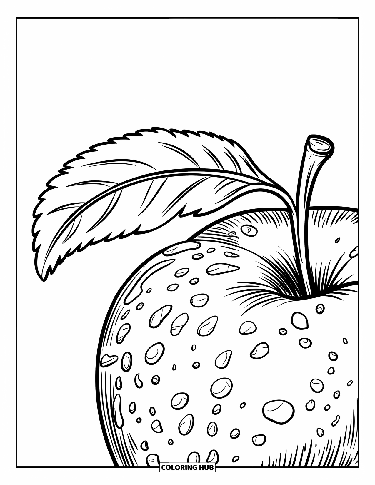 Coloriage de pomme pour enfants : Un gros plan d'une pomme avec des gouttelettes d'eau et des contours nets et audacieux