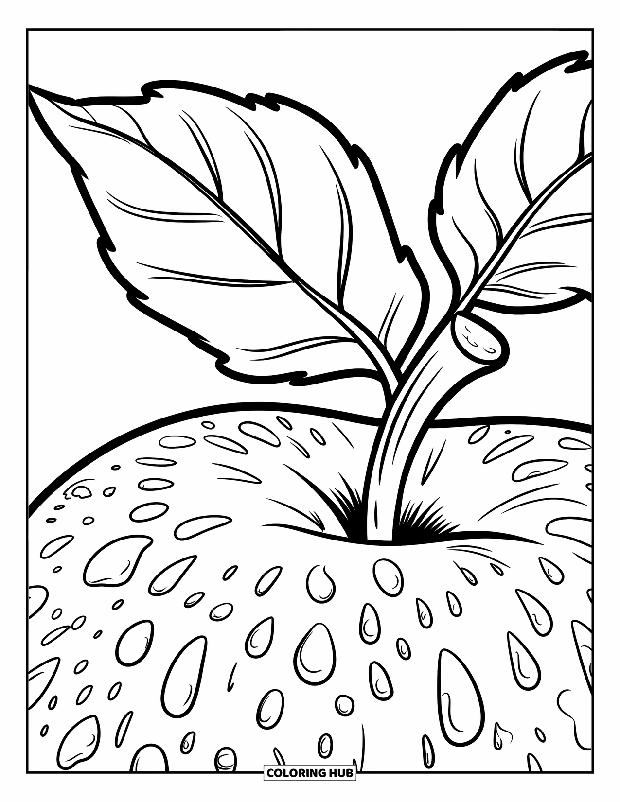 Coloriage de pomme pour enfants : Une pomme avec des gouttelettes d'eau, une feuille et une tige sur un fond uni