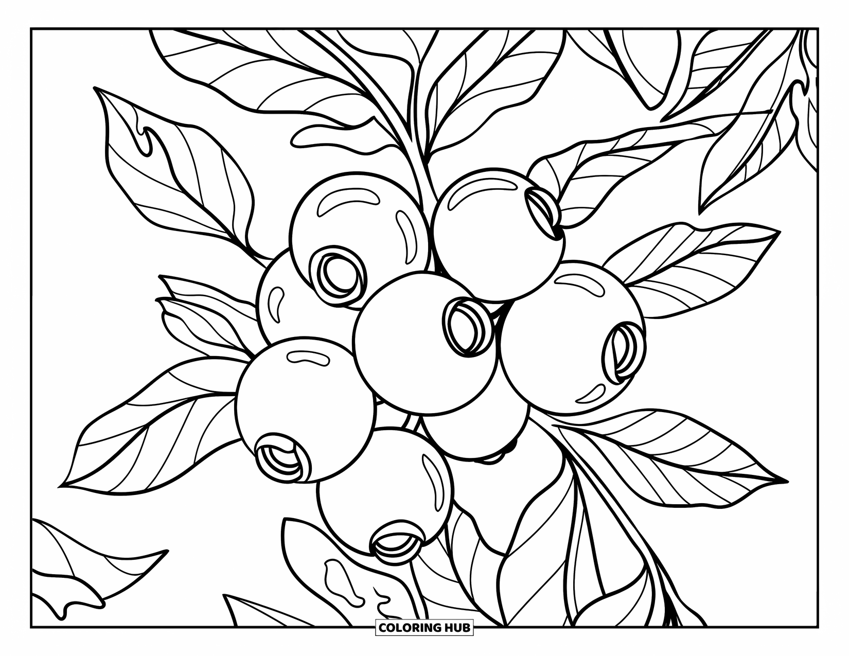 Coloriage de myrtille pour enfants : Un bol rempli de myrtilles mûres est posé à côté de feuilles aux détails complexes