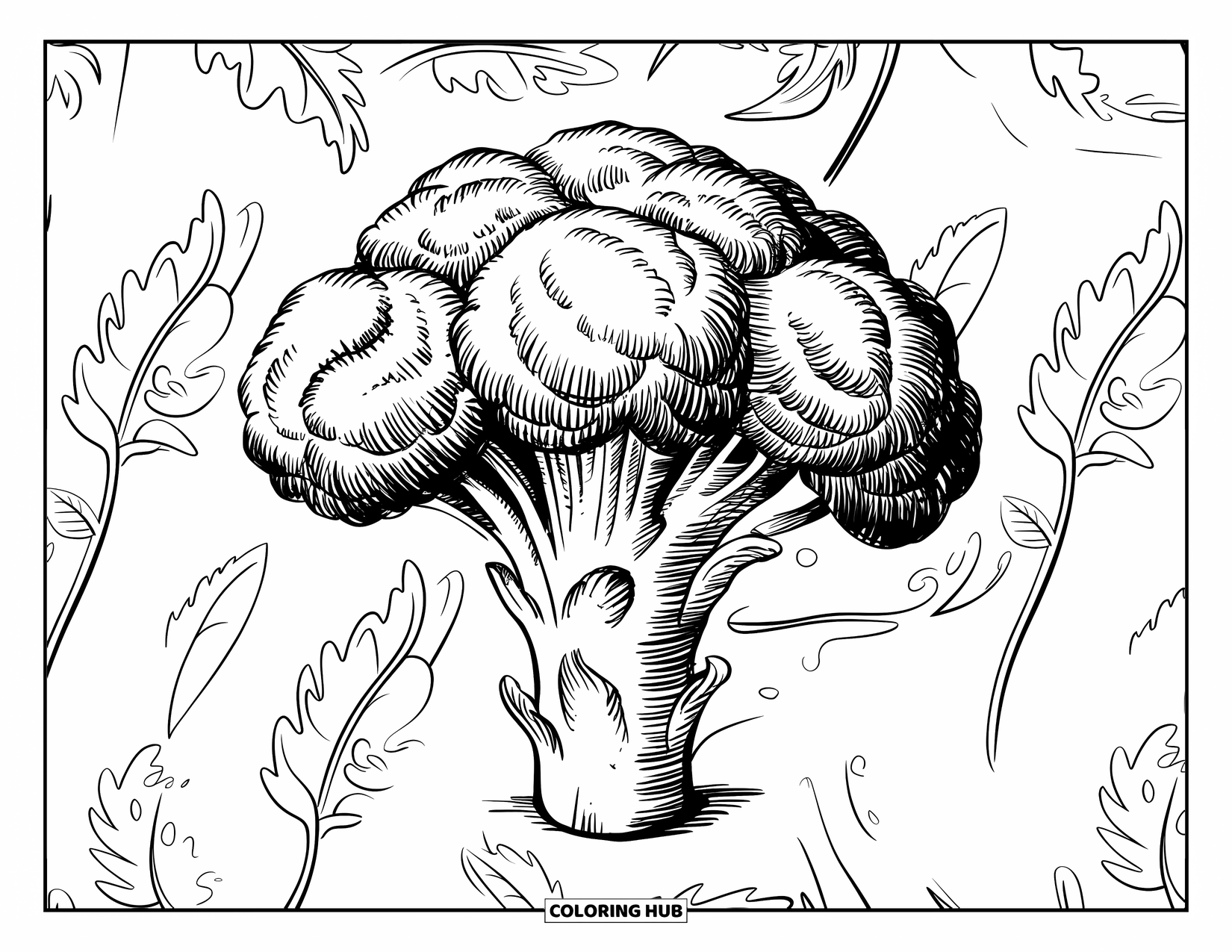 Coloriage de brocoli pour adultes : Un gros plan d'une illustration de brocoli rustique avec des motifs feuillus en arrière-plan