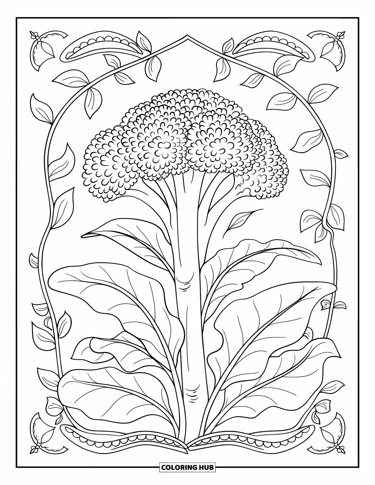 Coloriage de brocoli pour adultes : Une illustration botanique détaillée de brocoli encadrée de vignes et de feuilles tourbillonnantes