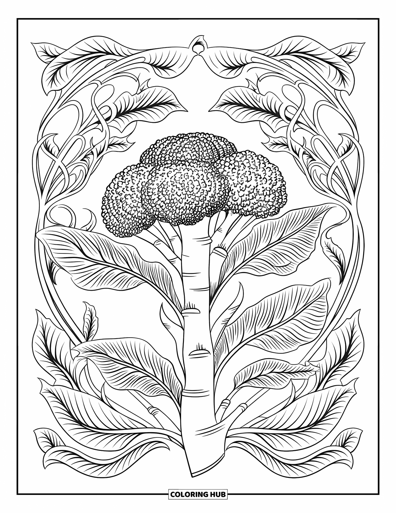 Coloriage de brocoli pour adultes : Un dessin de brocoli artistique enveloppé de vignes tourbillonnantes avec une touche décorative