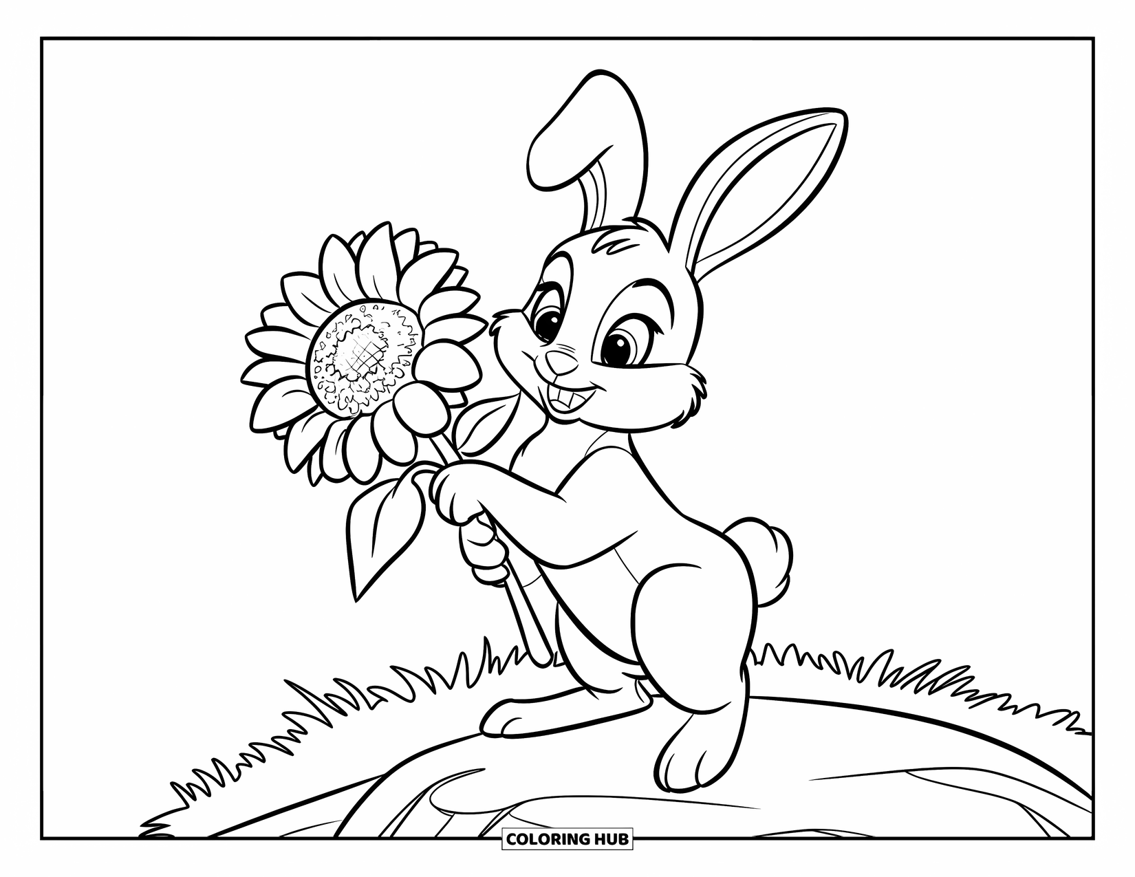 Kolorowanka z Królikiem dla Dzieci: Króliczek stoi na kamieniu, trzymając słonecznik, otoczony rozległym trawiastym polem