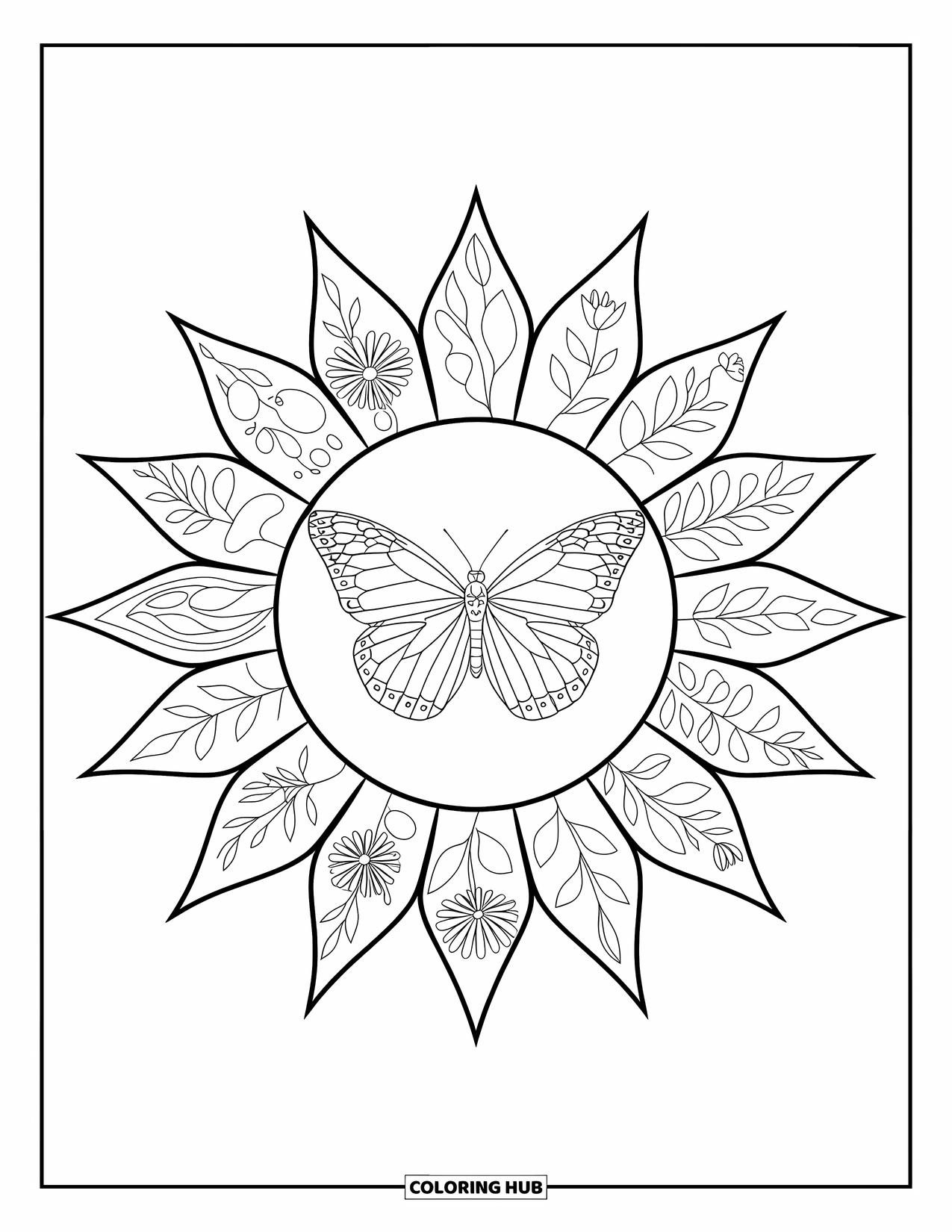 Butterfly Coloring Page for Adults: A butterfly within a sunburst pattern, with floral and abstract ray details