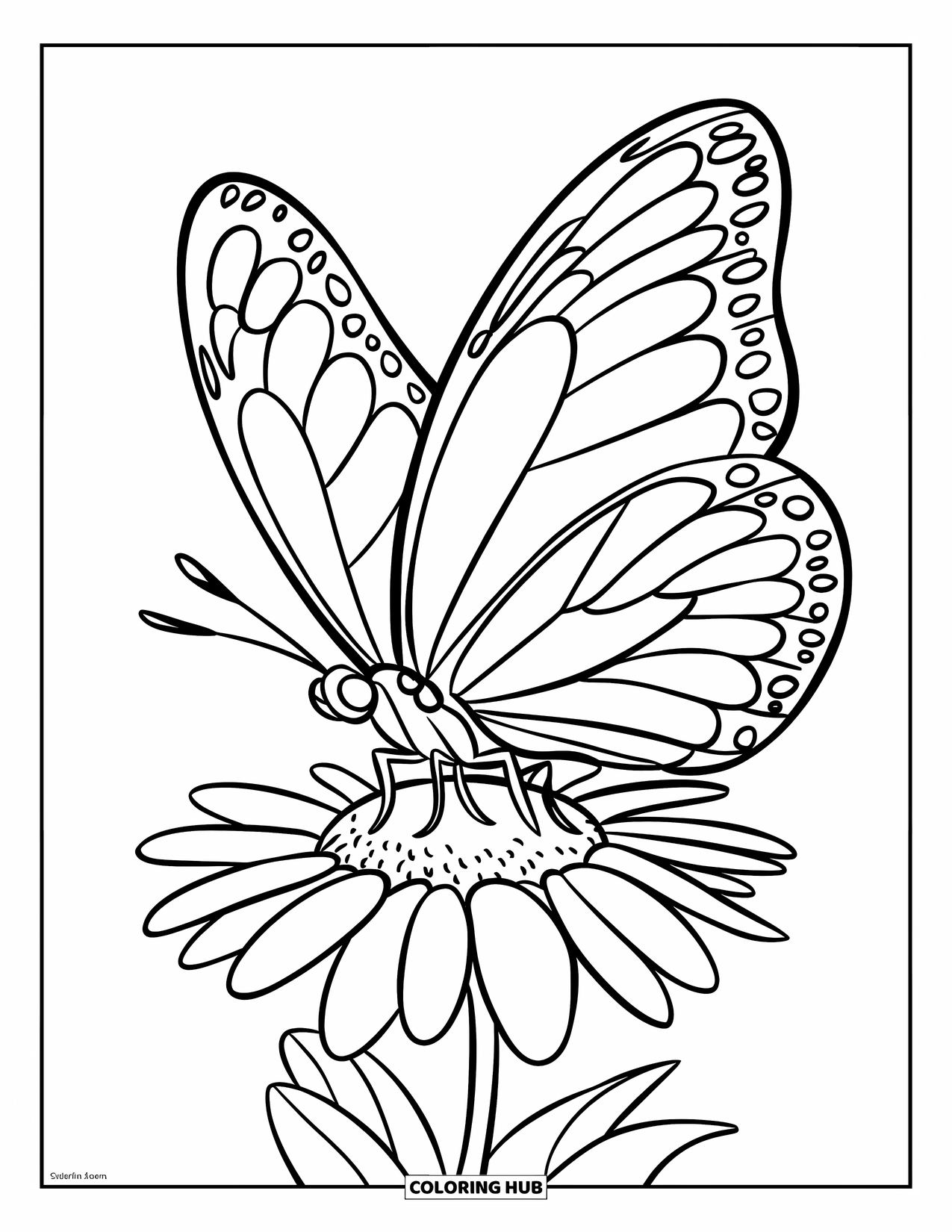 Butterfly Coloring Page for Kids: A butterfly perched on a daisy-like flower