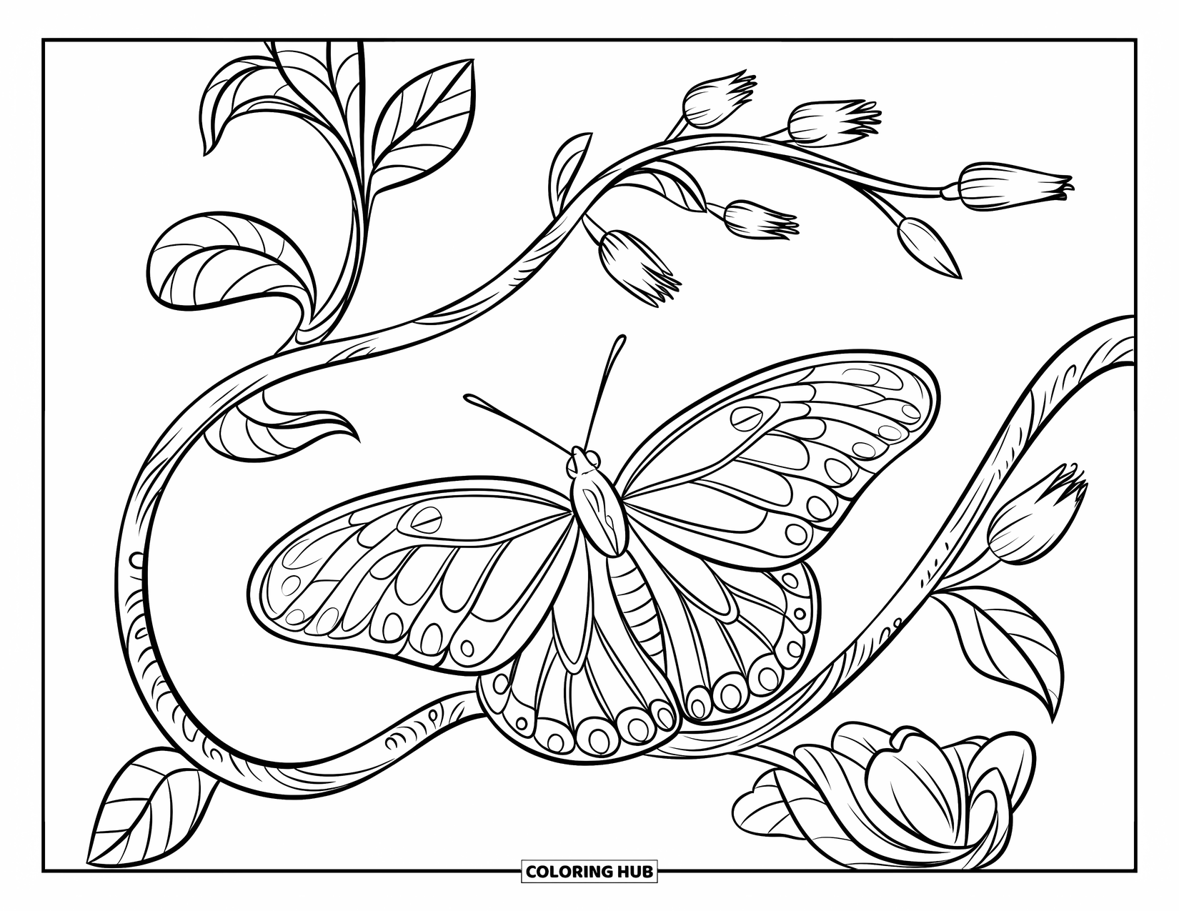 Butterfly Coloring Page for Kids: A butterfly resting on a textured vine with flower buds, surrounded by intricate patterns