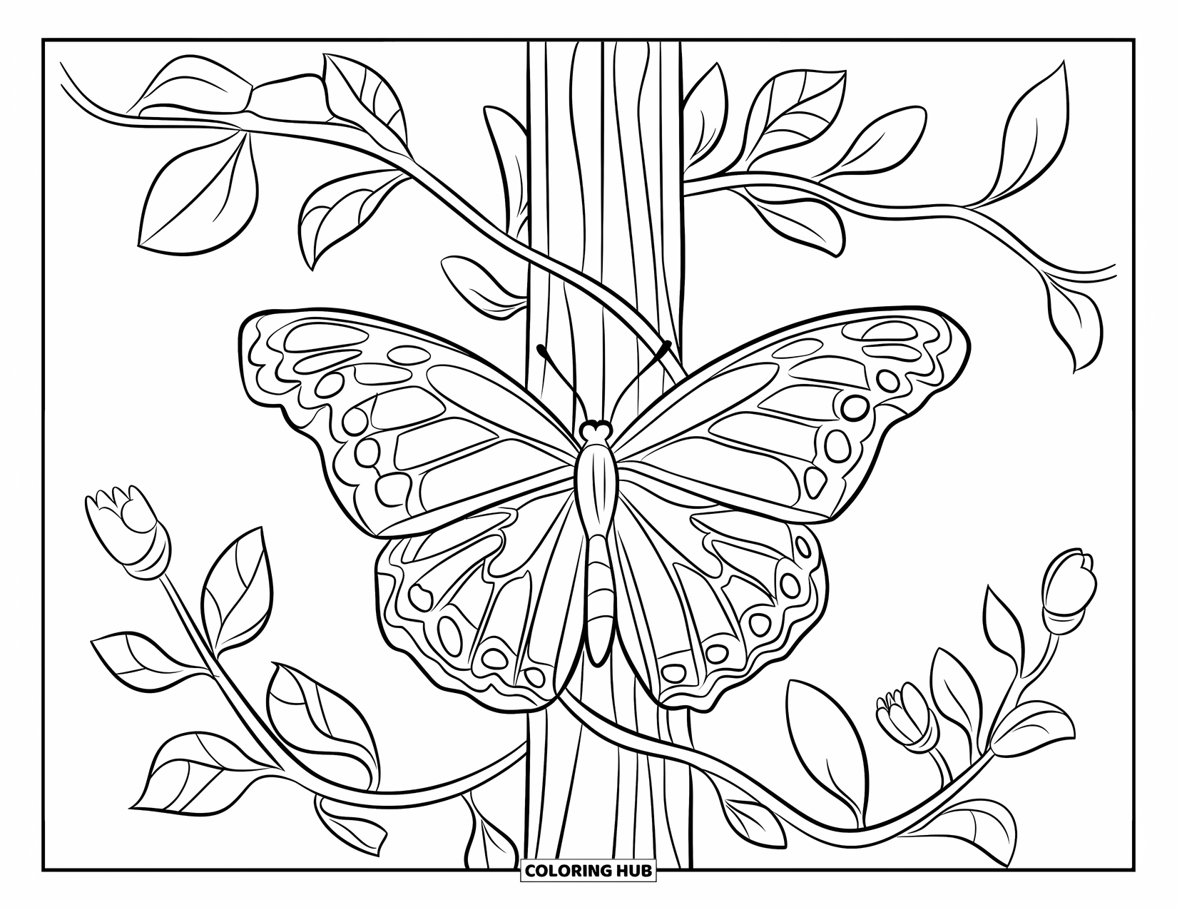 Butterfly Coloring Page for Kids: A butterfly resting on a vine with multiple leaves and flower buds, with a simple background