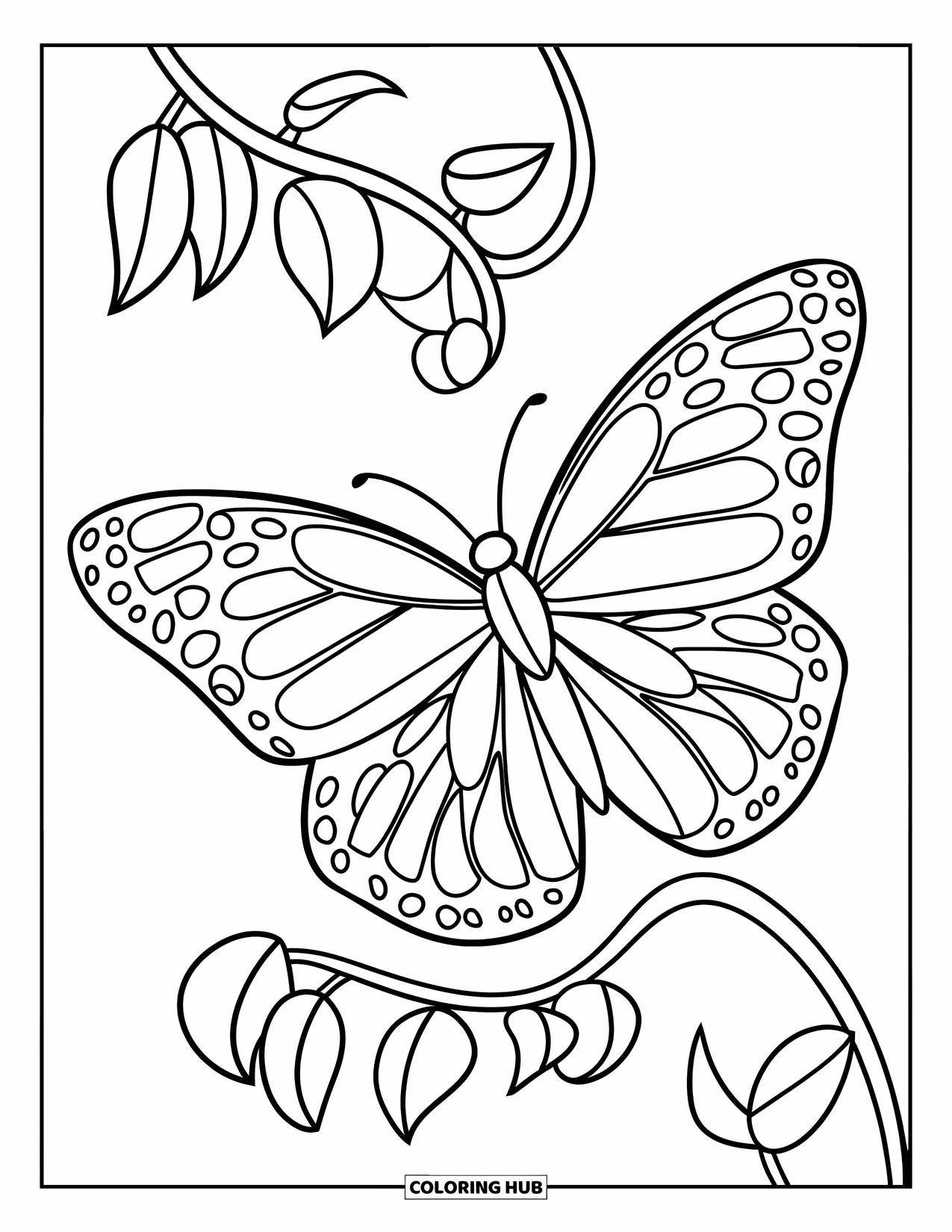Butterfly Coloring Page for Kids: A butterfly with patterned wings resting on a curved vine with leaves