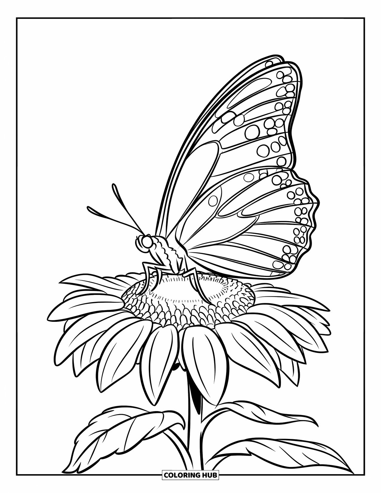 Butterfly Coloring Page for Kids: A butterfly with spotted wings resting on a sunflower