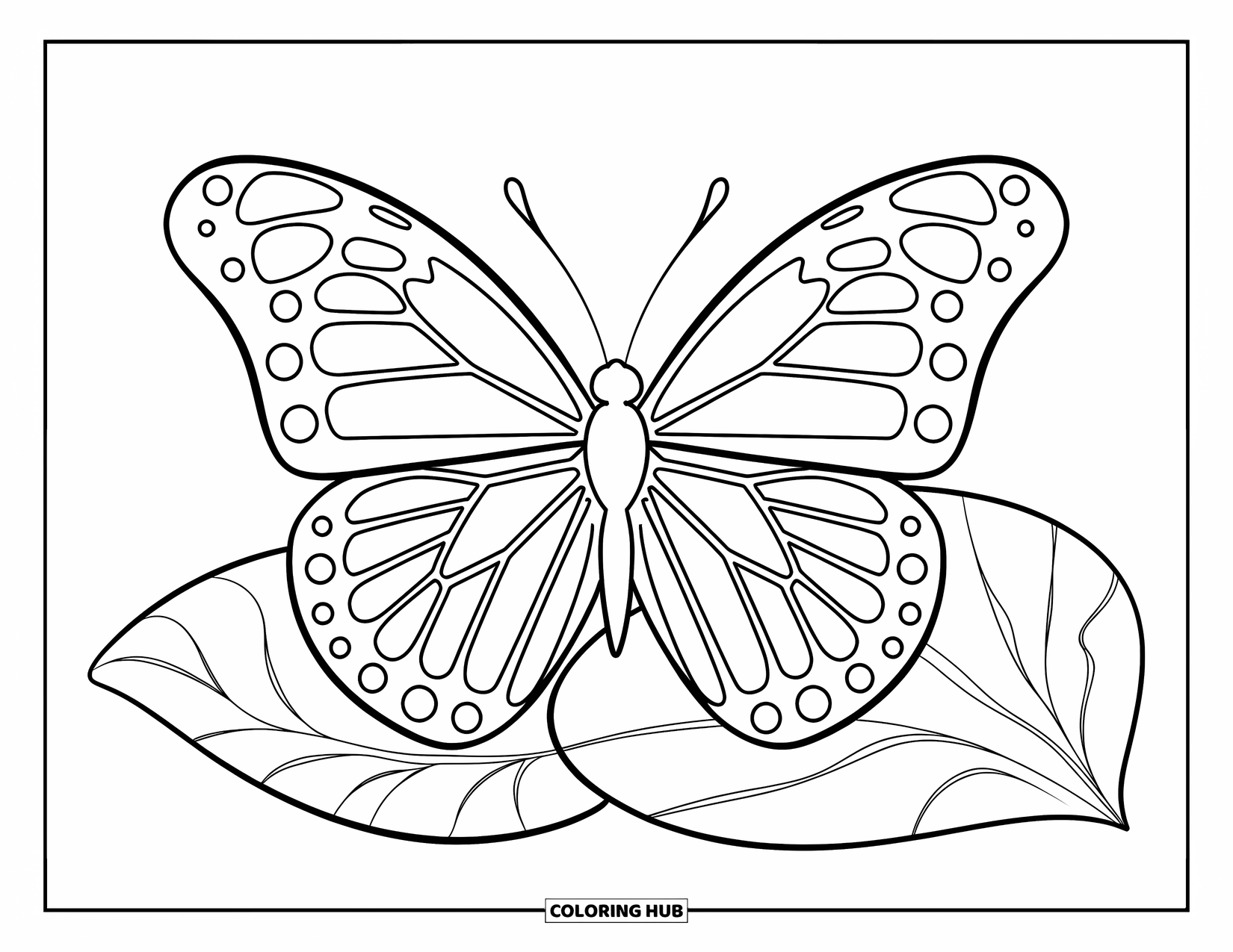 Butterfly Coloring Page for Kids: A butterfly with symmetrical wings sitting on a single outlined leaf