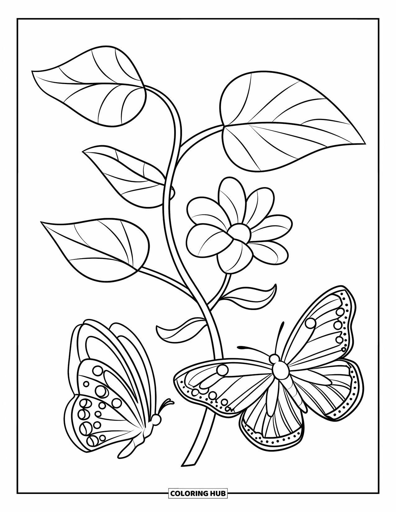 Butterfly Coloring Page for Kids: Two butterflies near a vine with four leaves and a flower