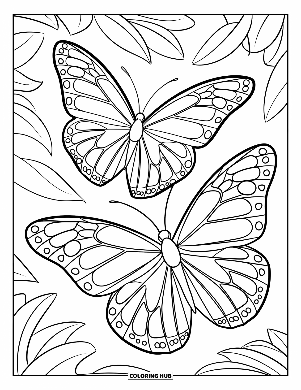 Butterfly Coloring Page for Kids: Two butterflies with detailed wings flying among leaf outlines