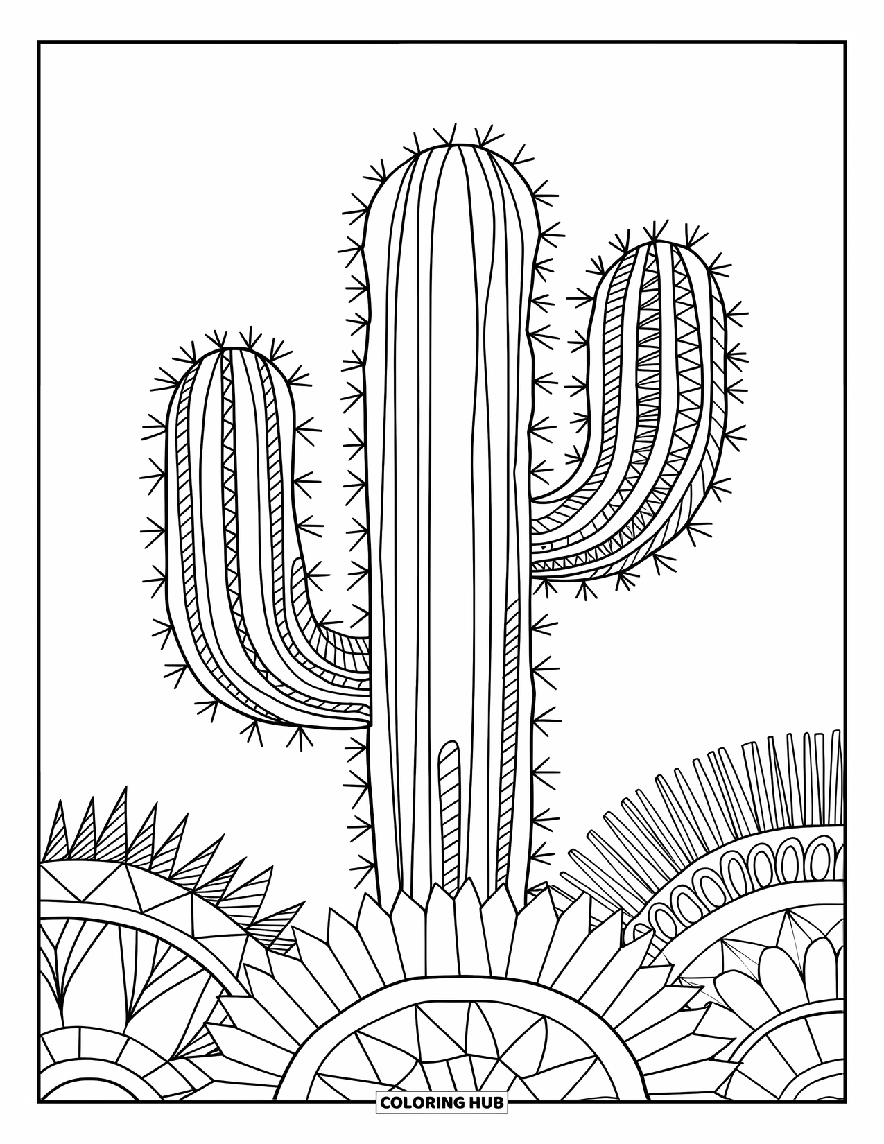 Desen de colorat cu cactus pentru adulți: Un cactus zentangle foarte detaliat, cu modele îndrăznețe, așezat pe un fundal alb