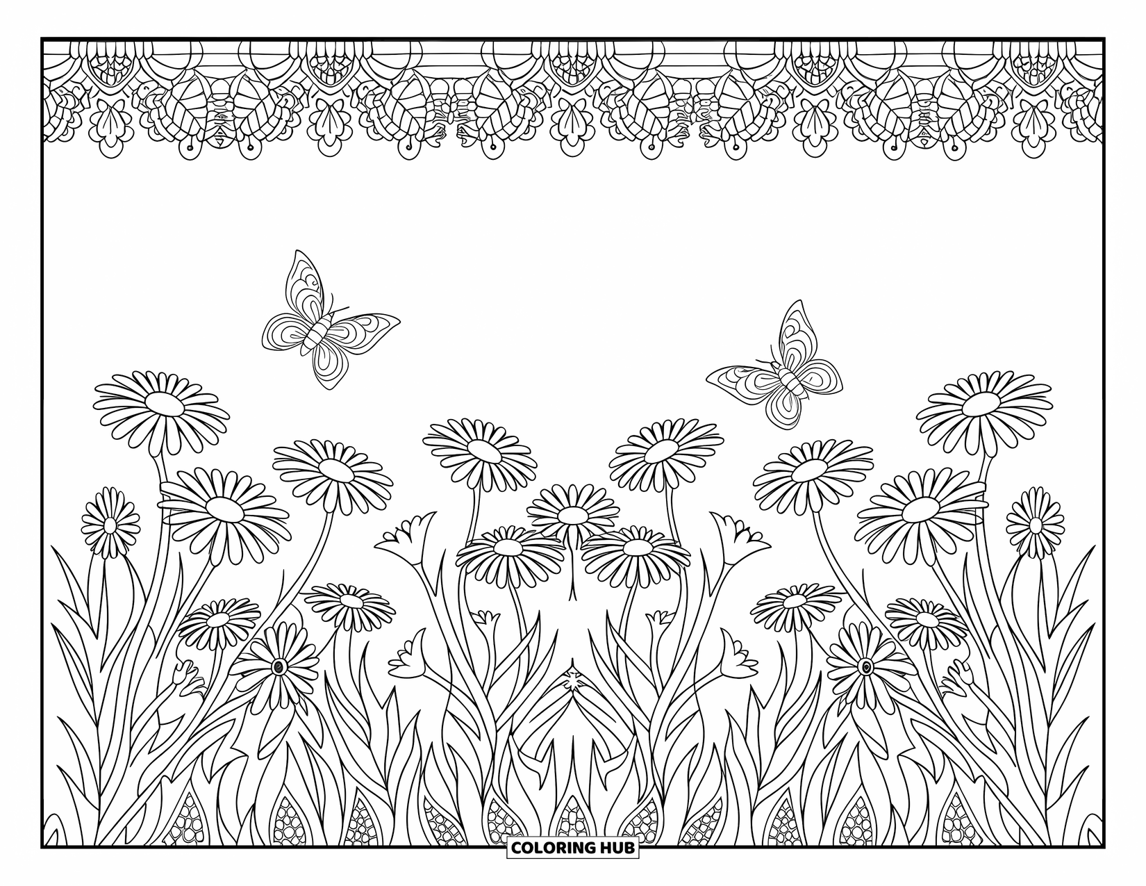 Desen de colorat cu margarete pentru adulți: Un câmp de margarete, iarbă înaltă și fluturi, cu modele complicate și contururi îndrăznețe