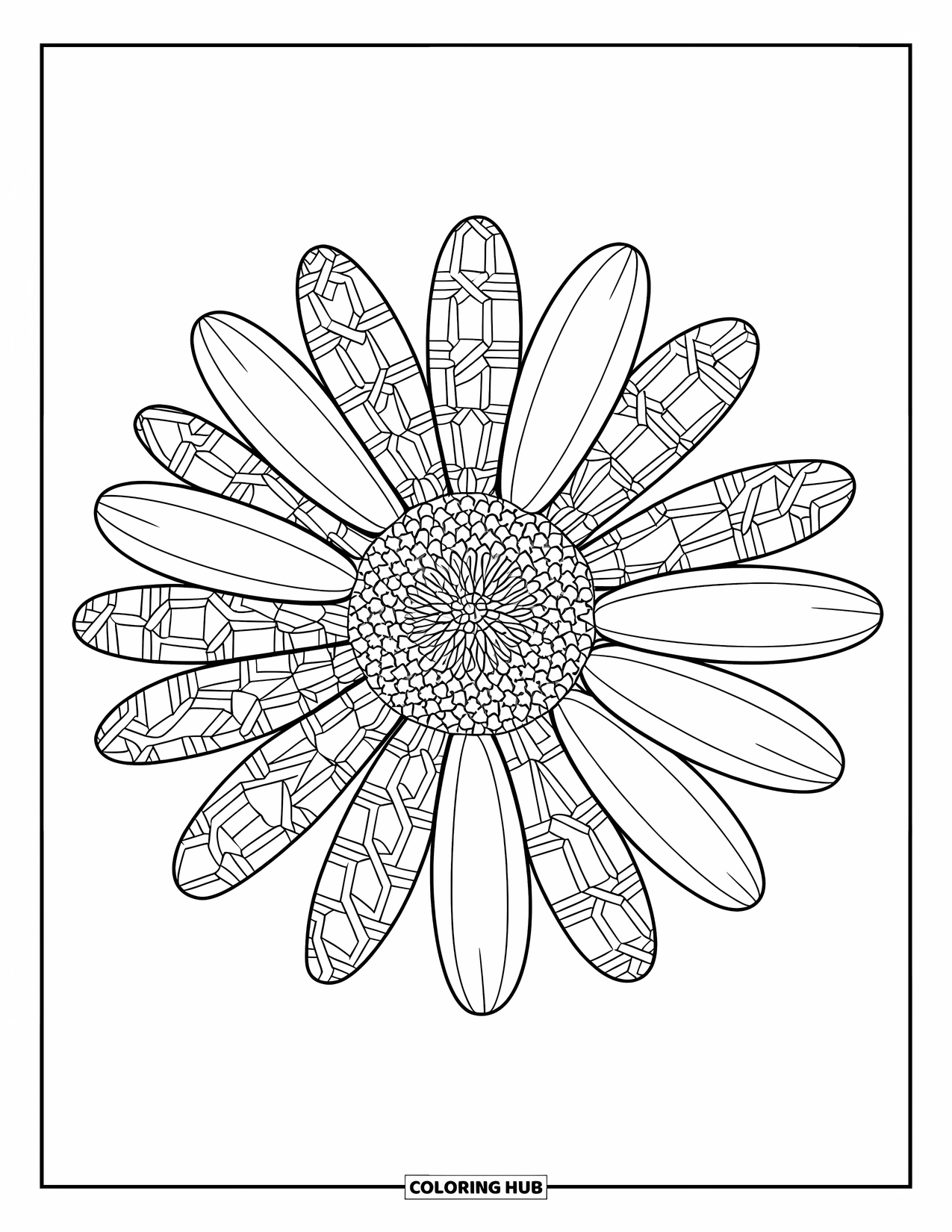 Desen de colorat cu margarete pentru adulți: O singură margaretă mare cu fiecare petală umplută cu un model geometric, așezată pe un fundal curat