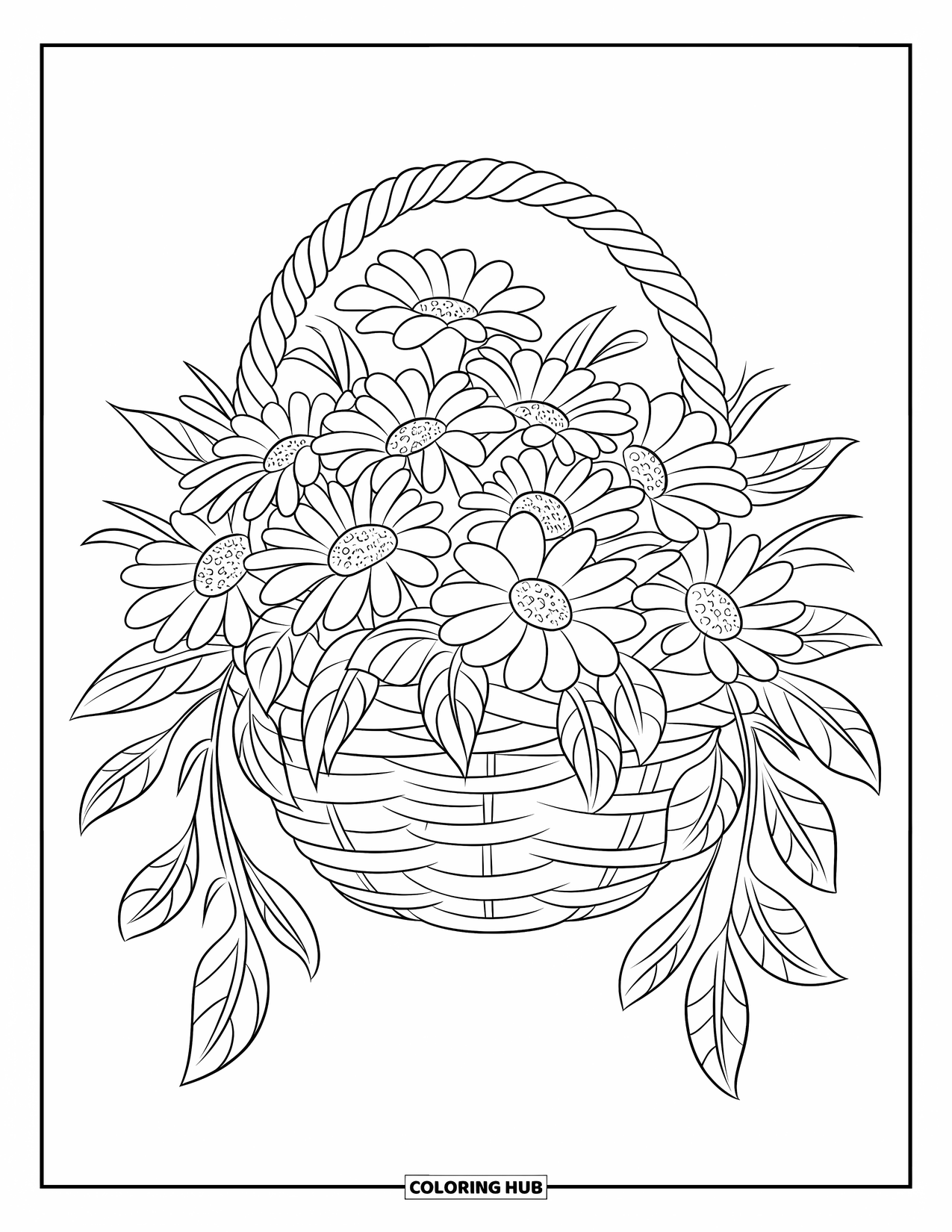 Desen de colorat cu margarete pentru copii: Un buchet de margarete într-un coș suspendat țesut, înconjurat de frunze cu nervuri