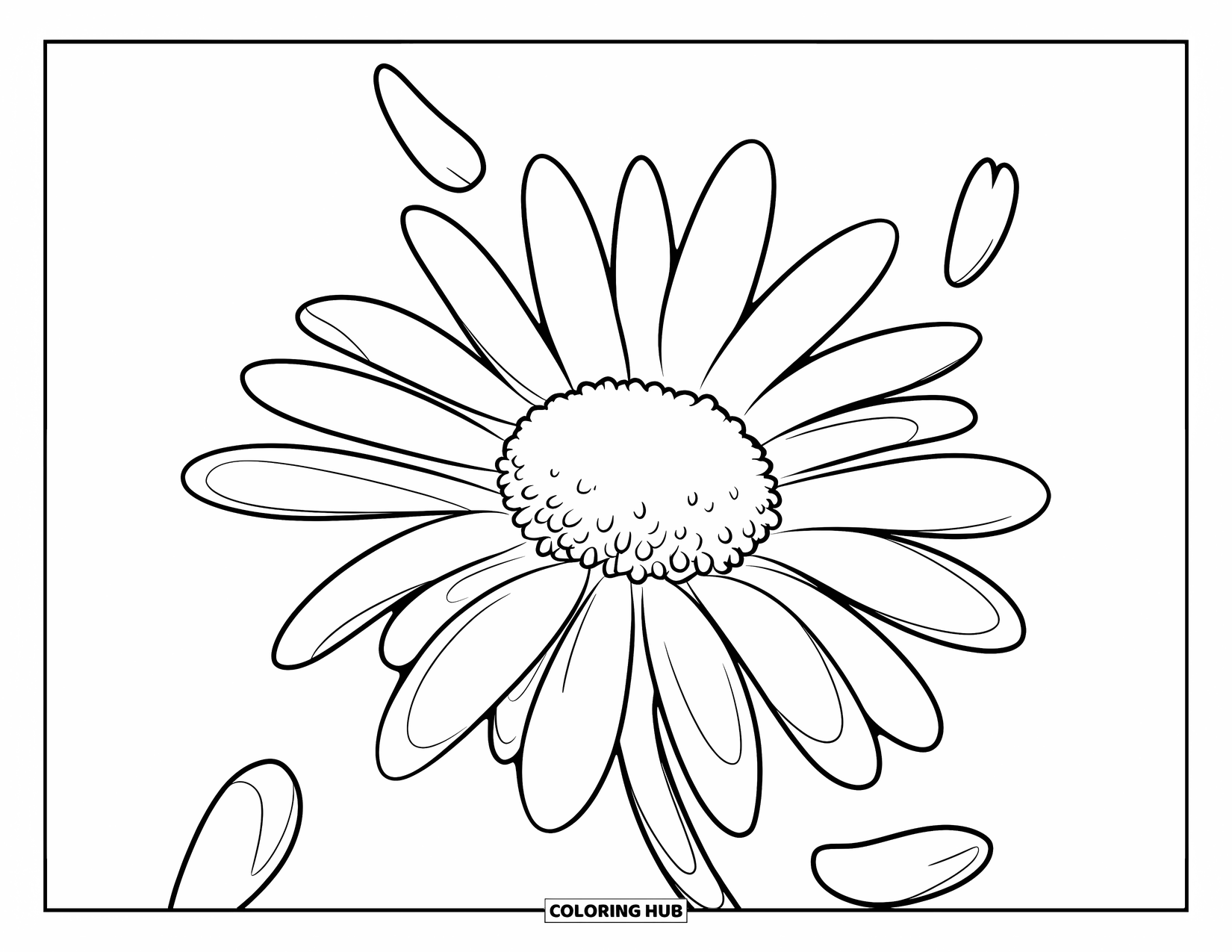 Desen de colorat cu margarete pentru copii: Un prim-plan al unei margarete cu petale care cad