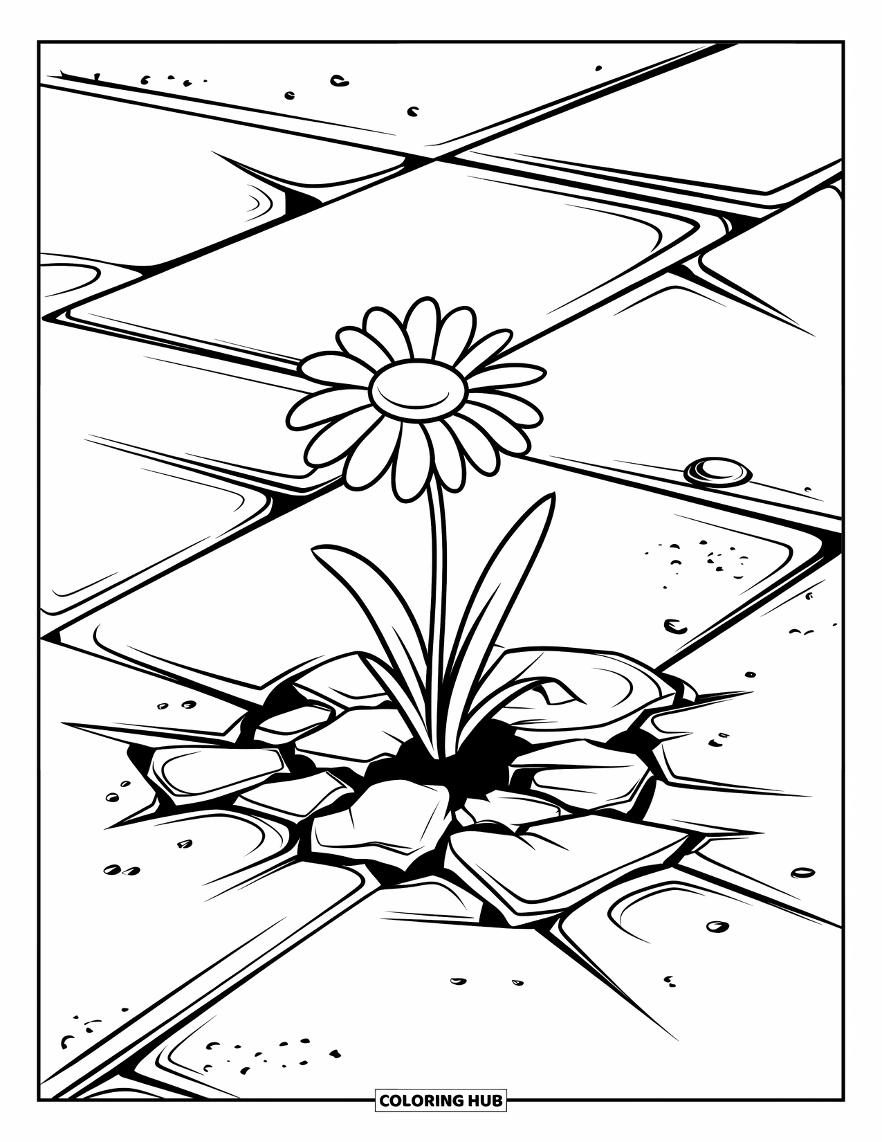 Desen de colorat cu margarete pentru copii: O margaretă care crește dintr-un pavaj crăpat, cu modele în pavajul crăpat și un fundal alb