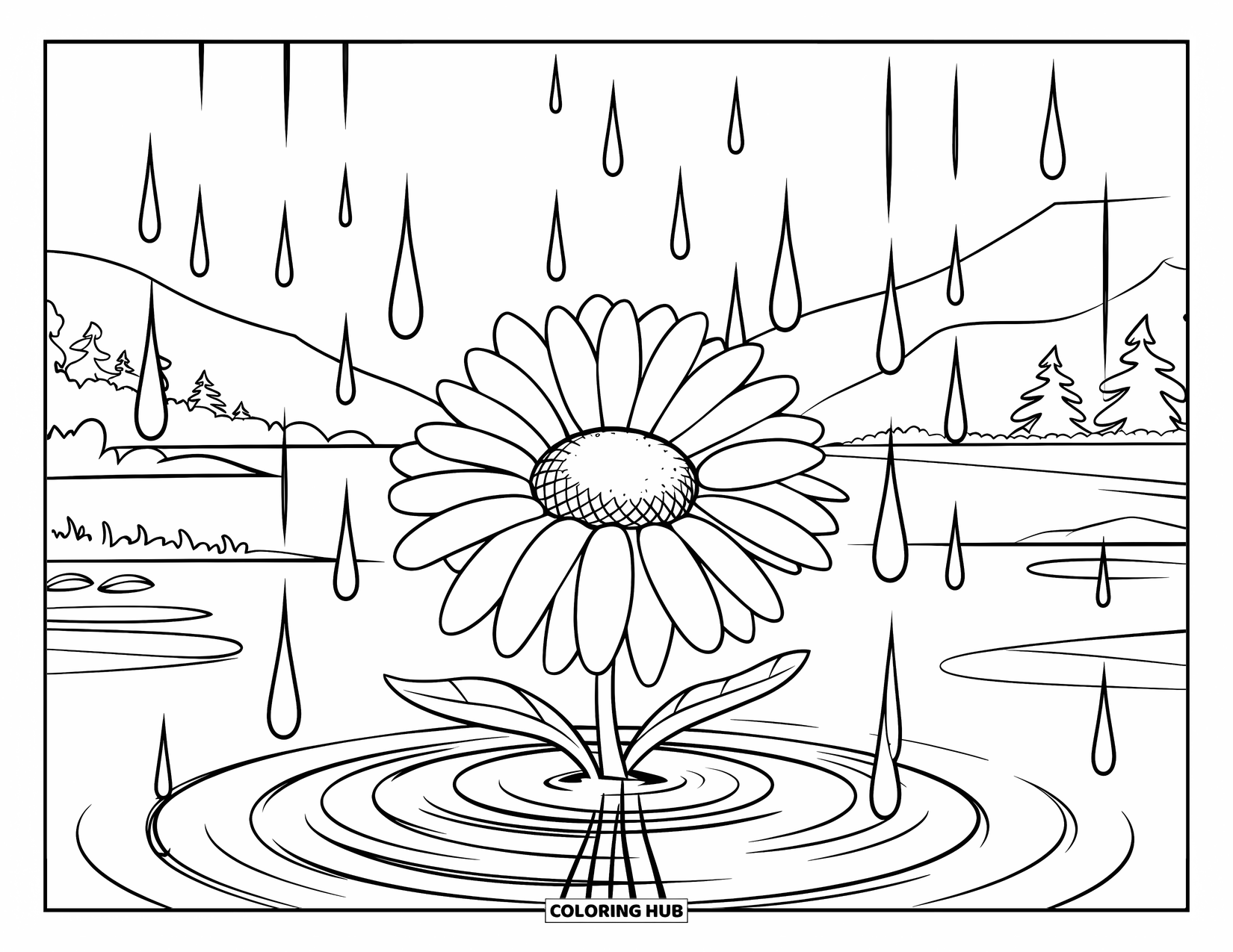 Desen de colorat cu margarete pentru copii: O margaretă cu picături de ploaie căzând în jurul ei, creând unde, așezată pe un peisaj senin