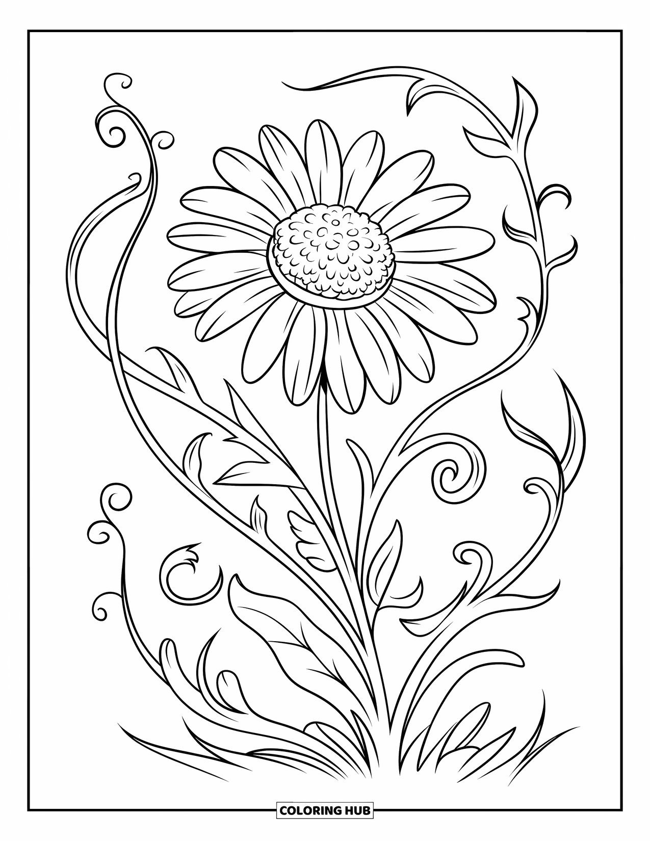 Desen de colorat cu margarete pentru copii: O margaretă detaliată cu liane spiralate în jurul tulpinii, așezată pe un fundal alb