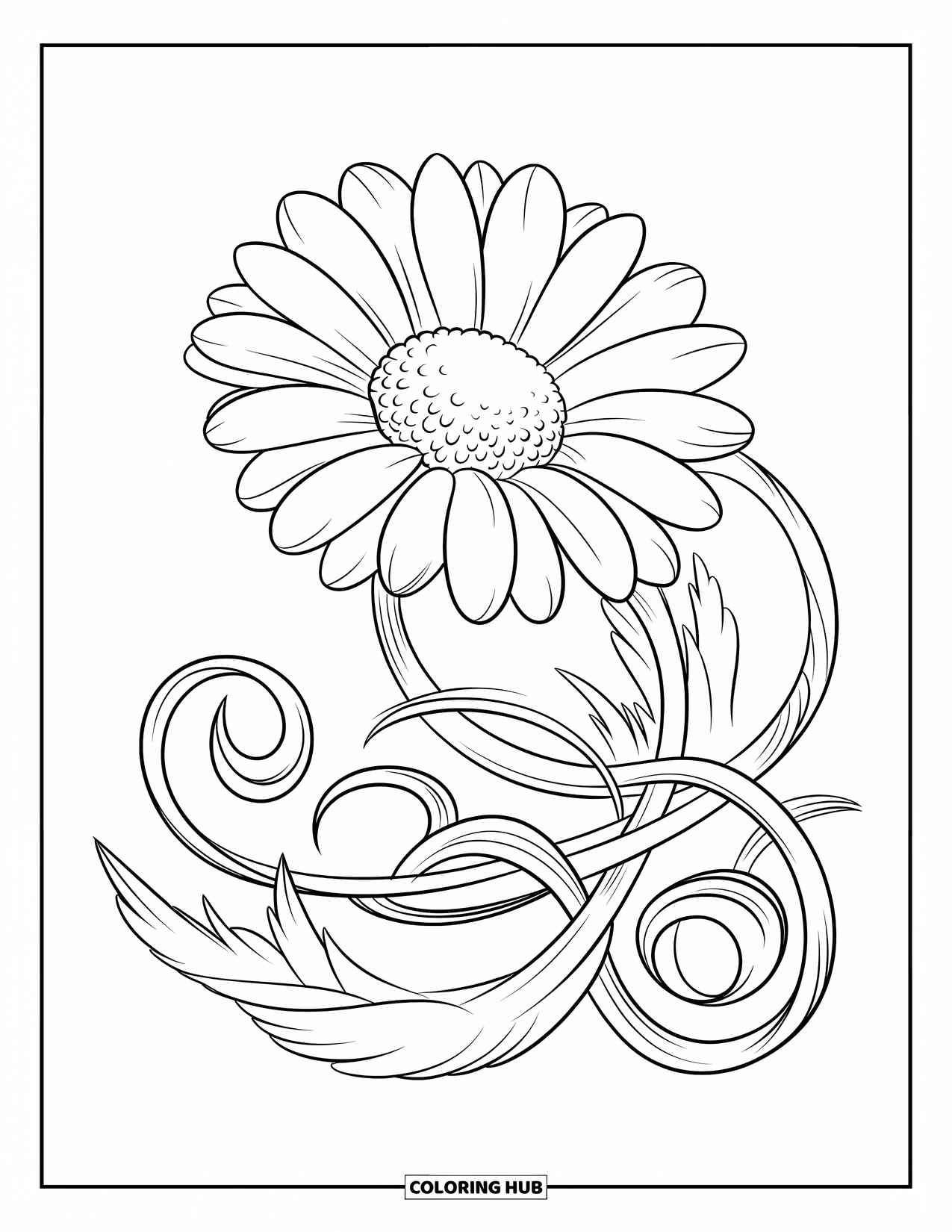 Desen de colorat cu margarete pentru copii: O margaretă detaliată cu liane spiralate în jurul tulpinii, cu un centru galben și petale albe