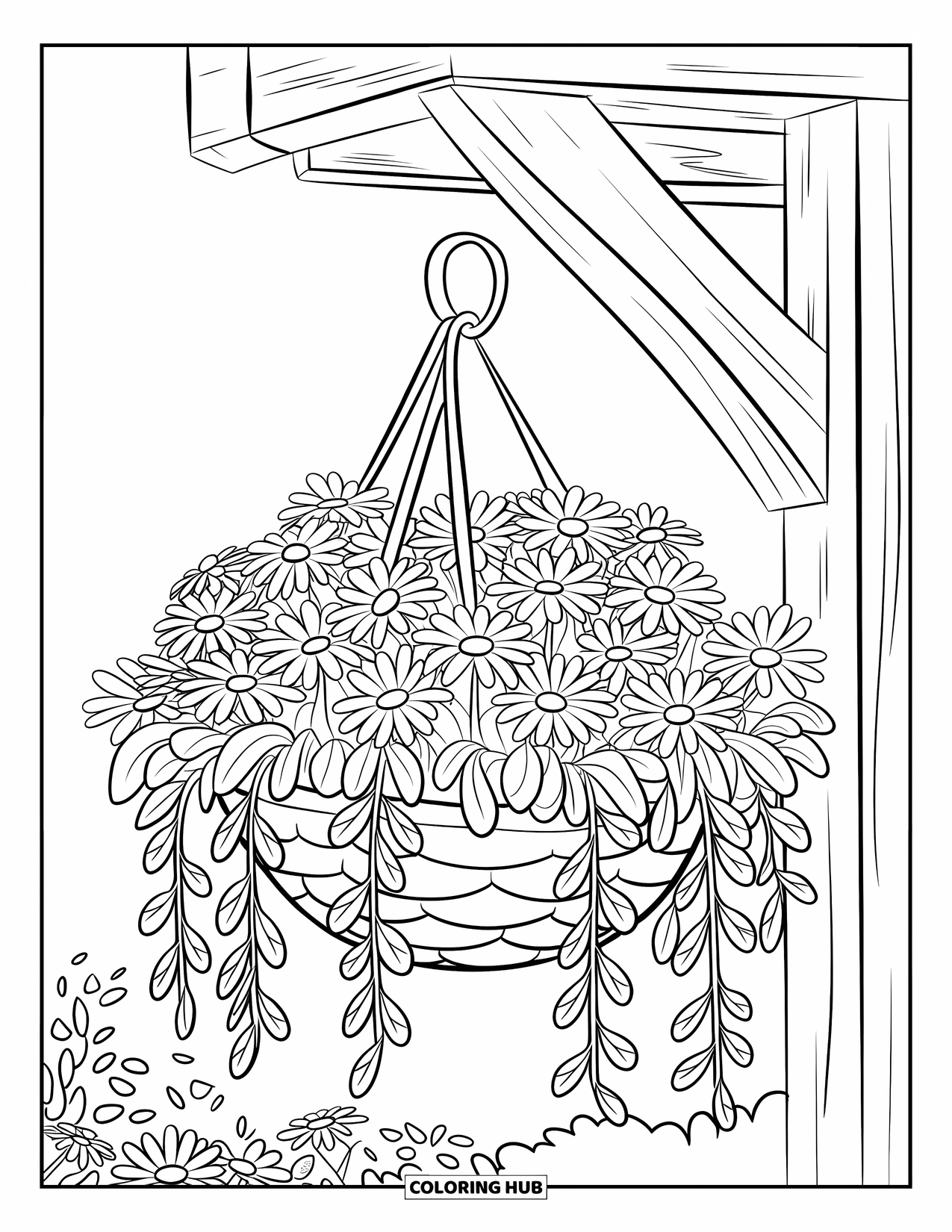 Desen de colorat cu margarete pentru copii: Un coș suspendat plin cu margarete, drapat cu frunze și înconjurat de un fundal curat