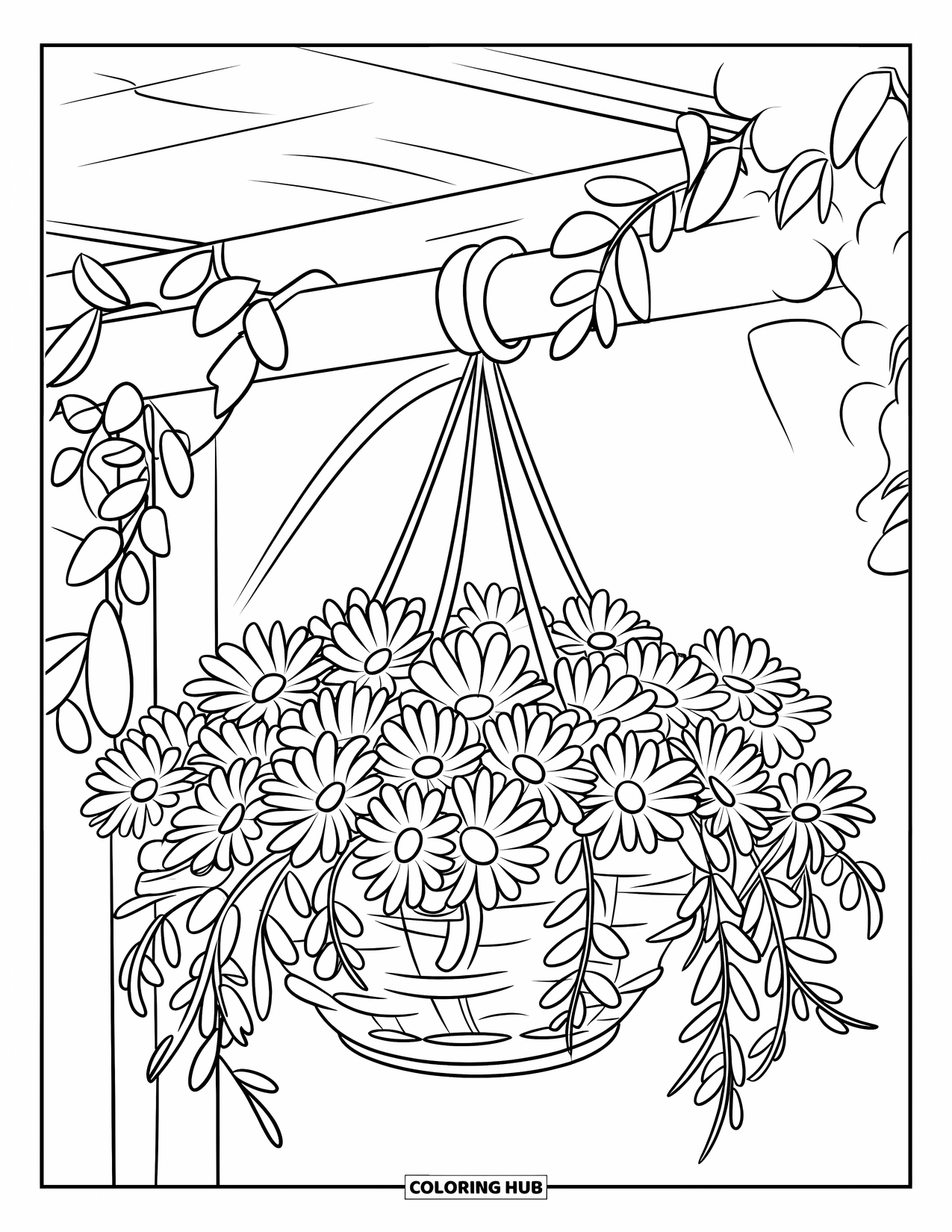 Desen de colorat cu margarete pentru copii: Un coș suspendat plin cu margarete, atârnând de un suport de lemn cu frunze drapate