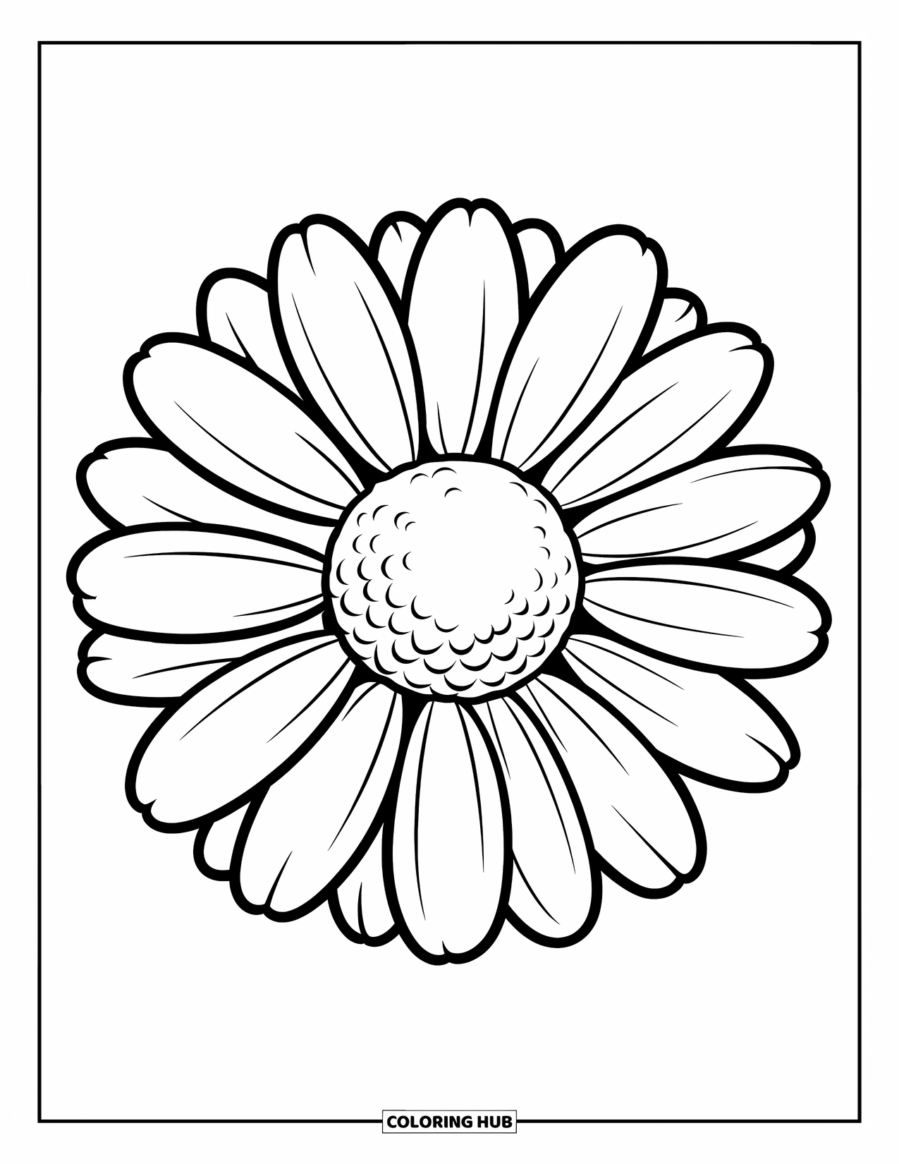 Desen de colorat cu margarete pentru copii: O margaretă simplă, îndrăzneață, cu petale groase și un centru rotund
