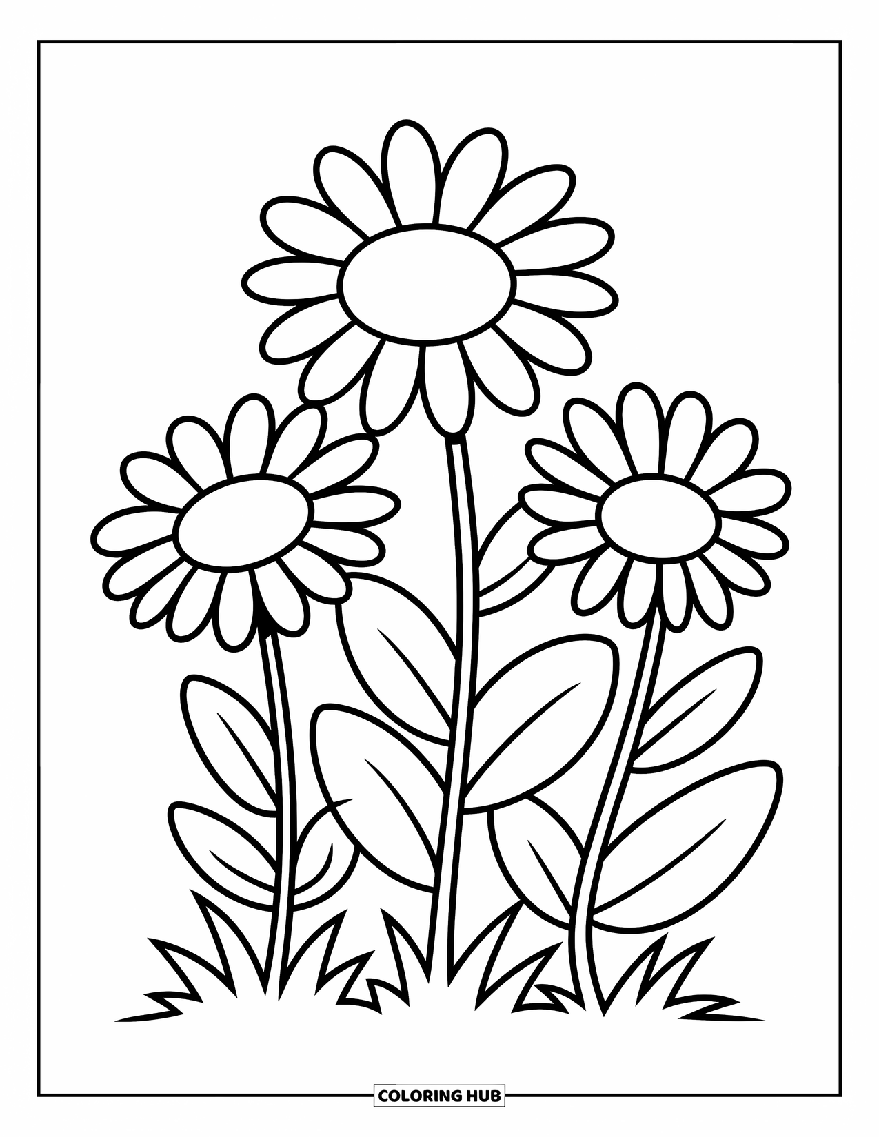 Desen de colorat cu margarete pentru copii: Trei margarete vesele cu frunze mari