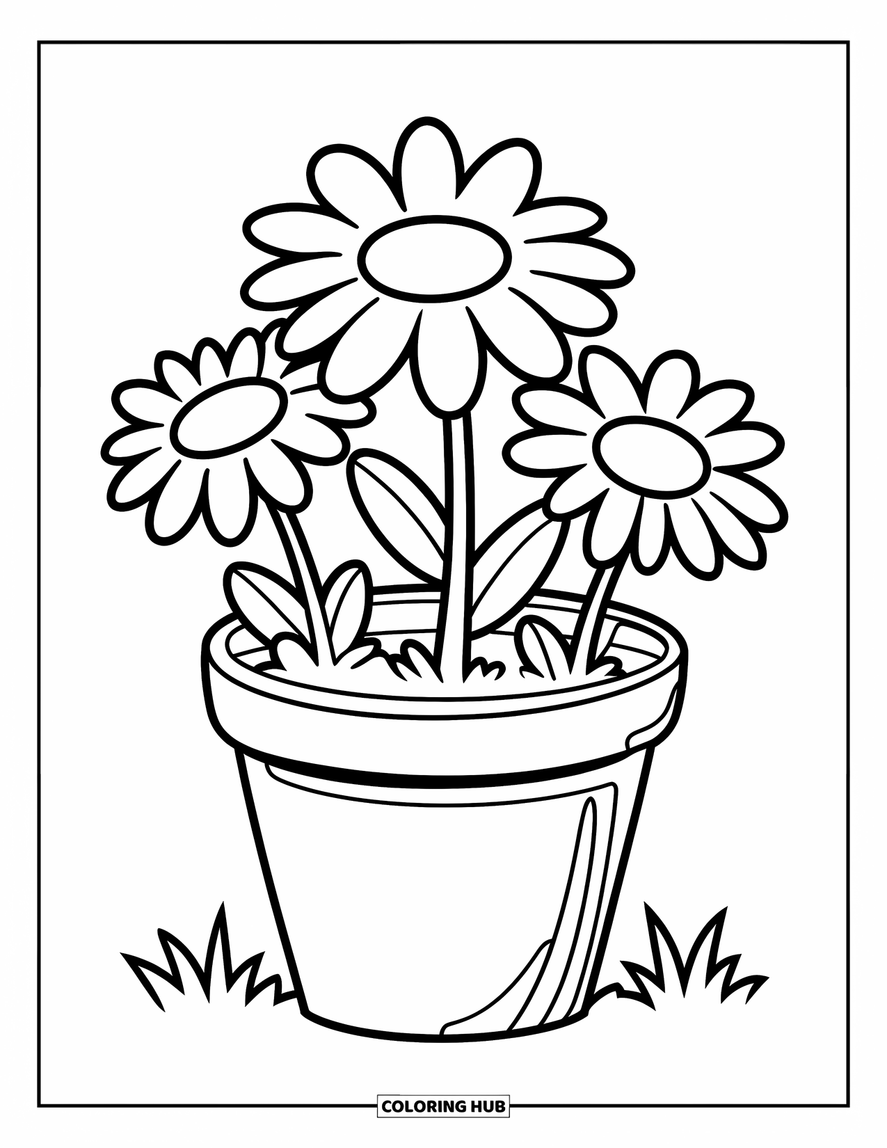 Desen de colorat cu margarete pentru copii: Trei flori de margarete într-un ghiveci simplu