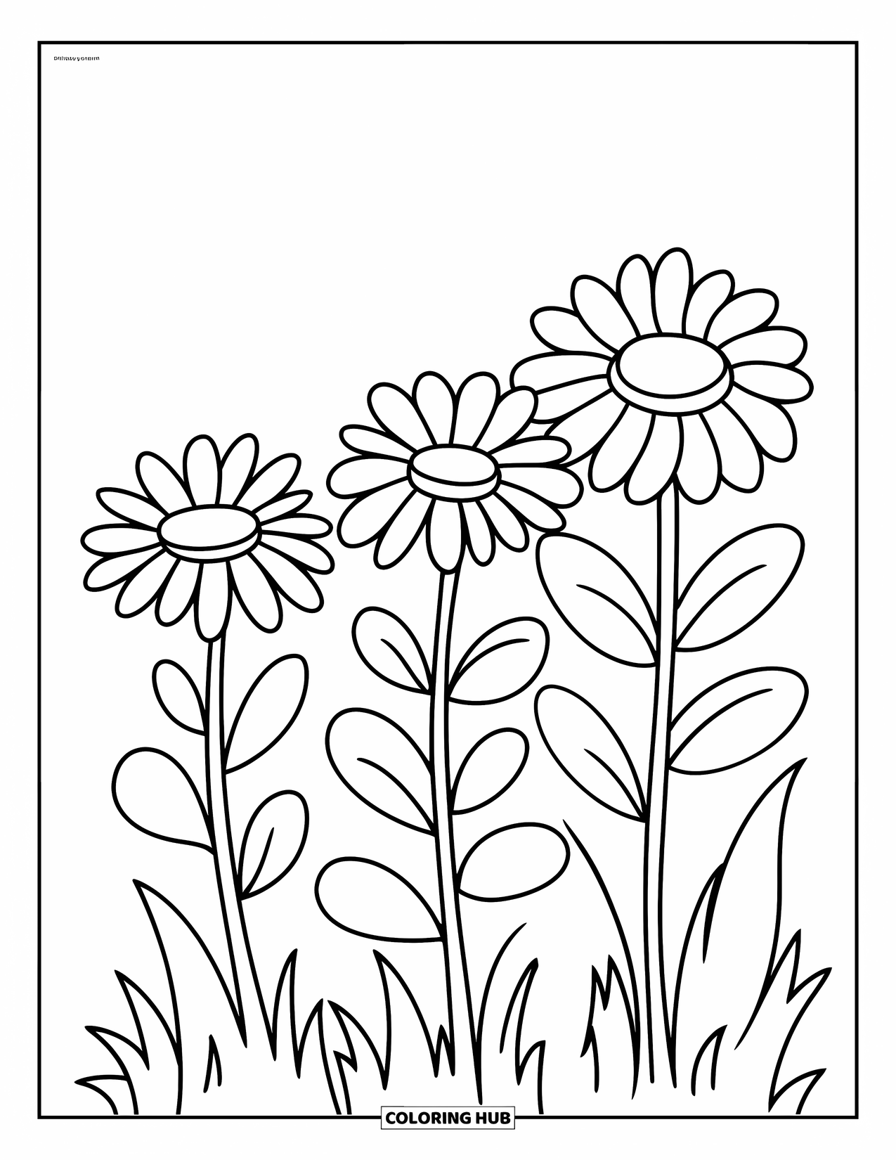 Desen de colorat cu margarete pentru copii: Trei margarete jucăușe cresc una lângă alta