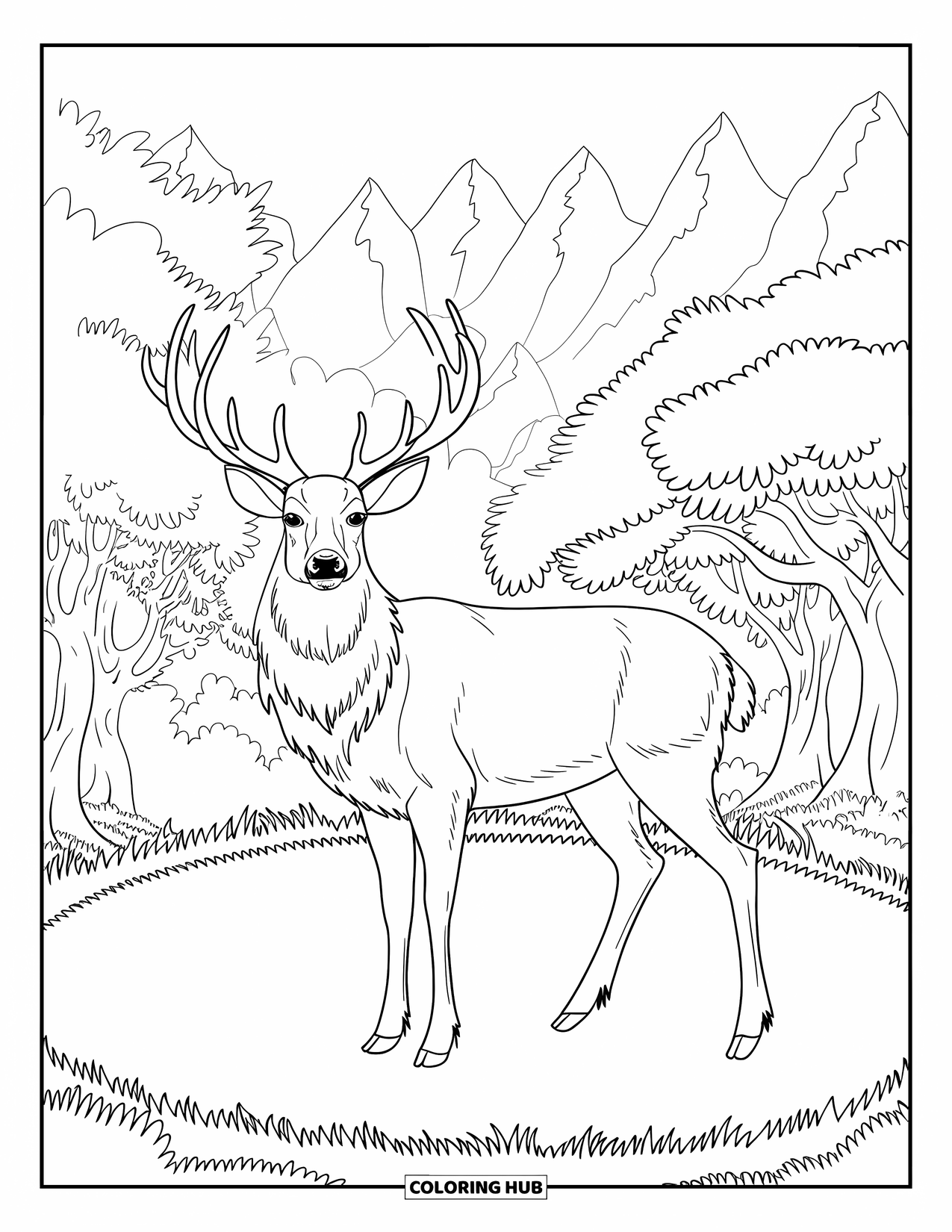 Disegno di cervo da colorare per bambini: Un nobile cervo con ampie corna si erge in una radura nebbiosa circondata da alberi