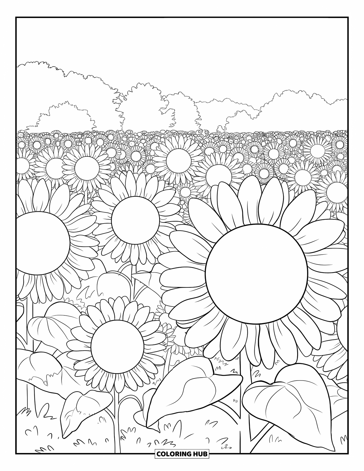 Desen de colorat floral pentru adulți: Un câmp de floarea-soarelui cu flori mari și copaci în fundal