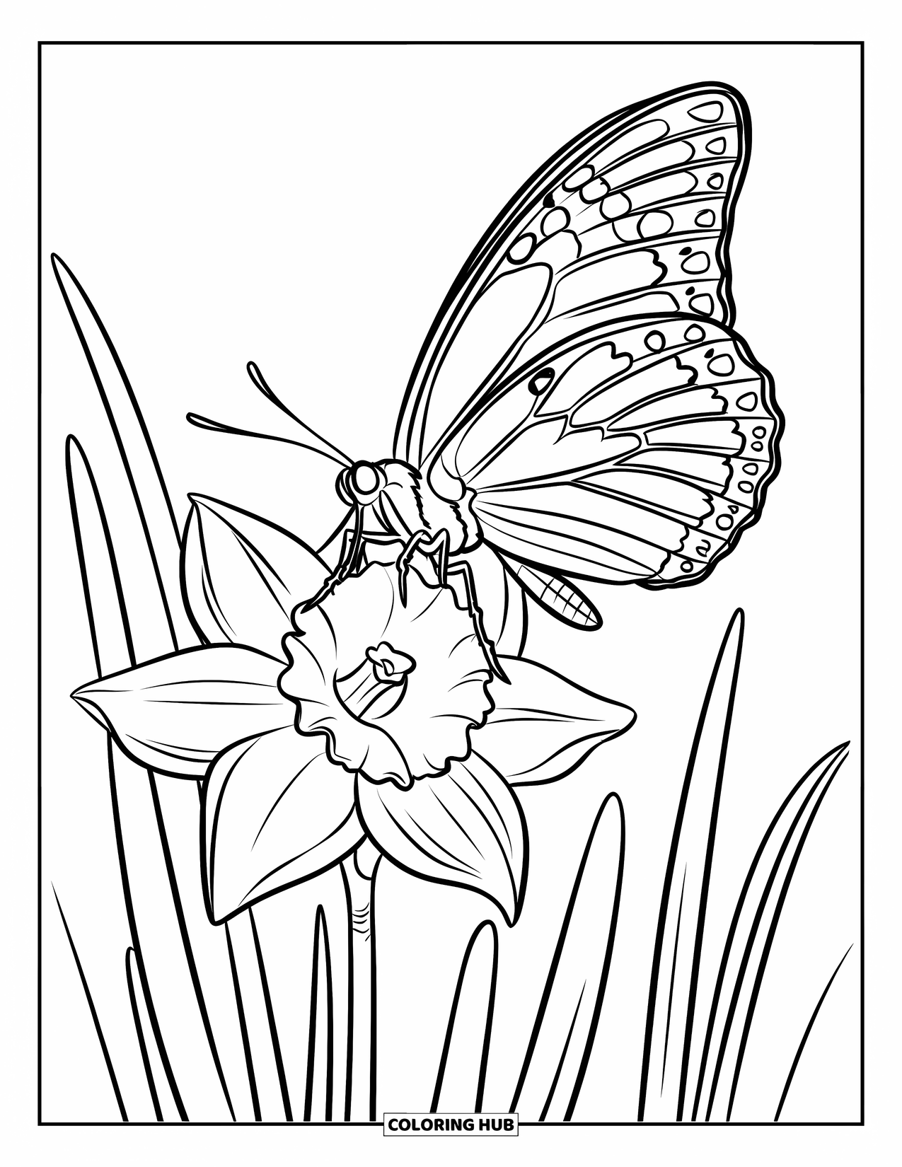 Desen de colorat floral pentru copii: Un fluture cu aripi complicate aterizând pe o narcisă cu un centru luminos