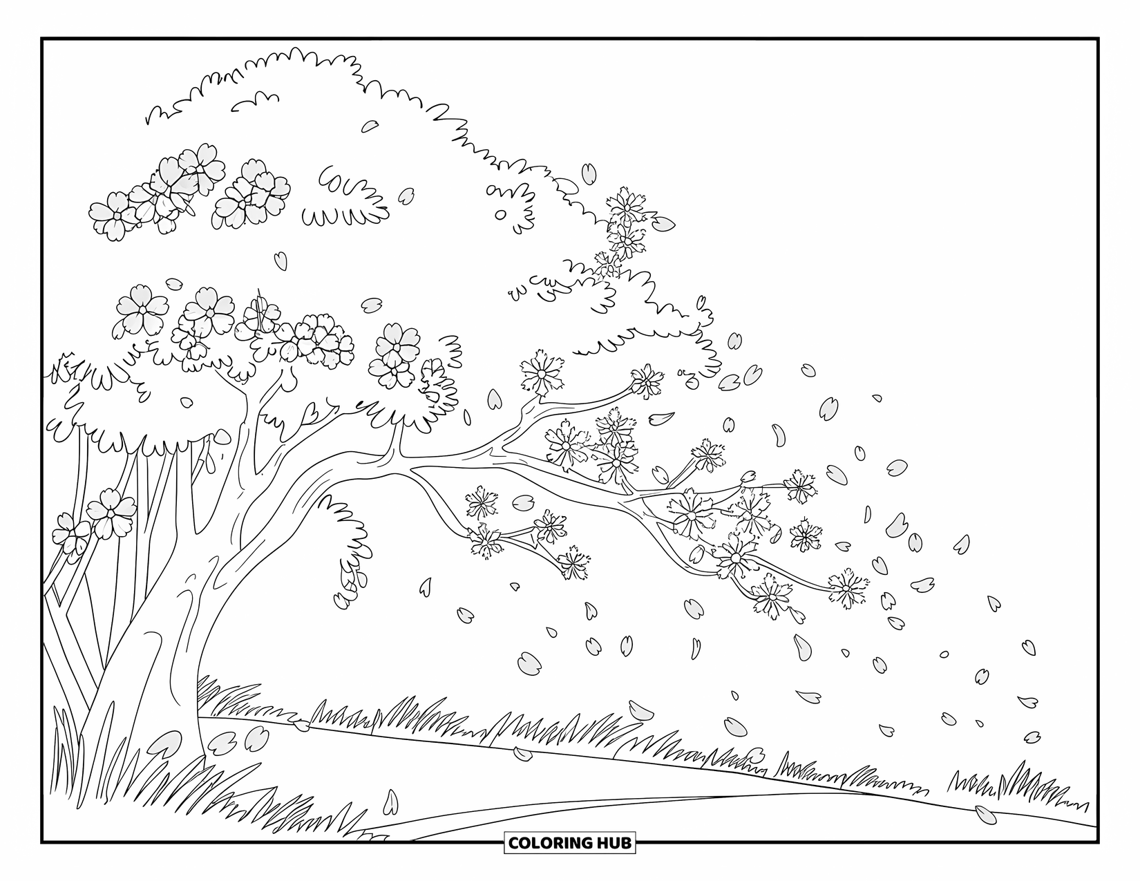Desen de colorat floral pentru copii: Un cireș înflorit cu o potecă dedesubt, așezat pe fundalul unui cer senin