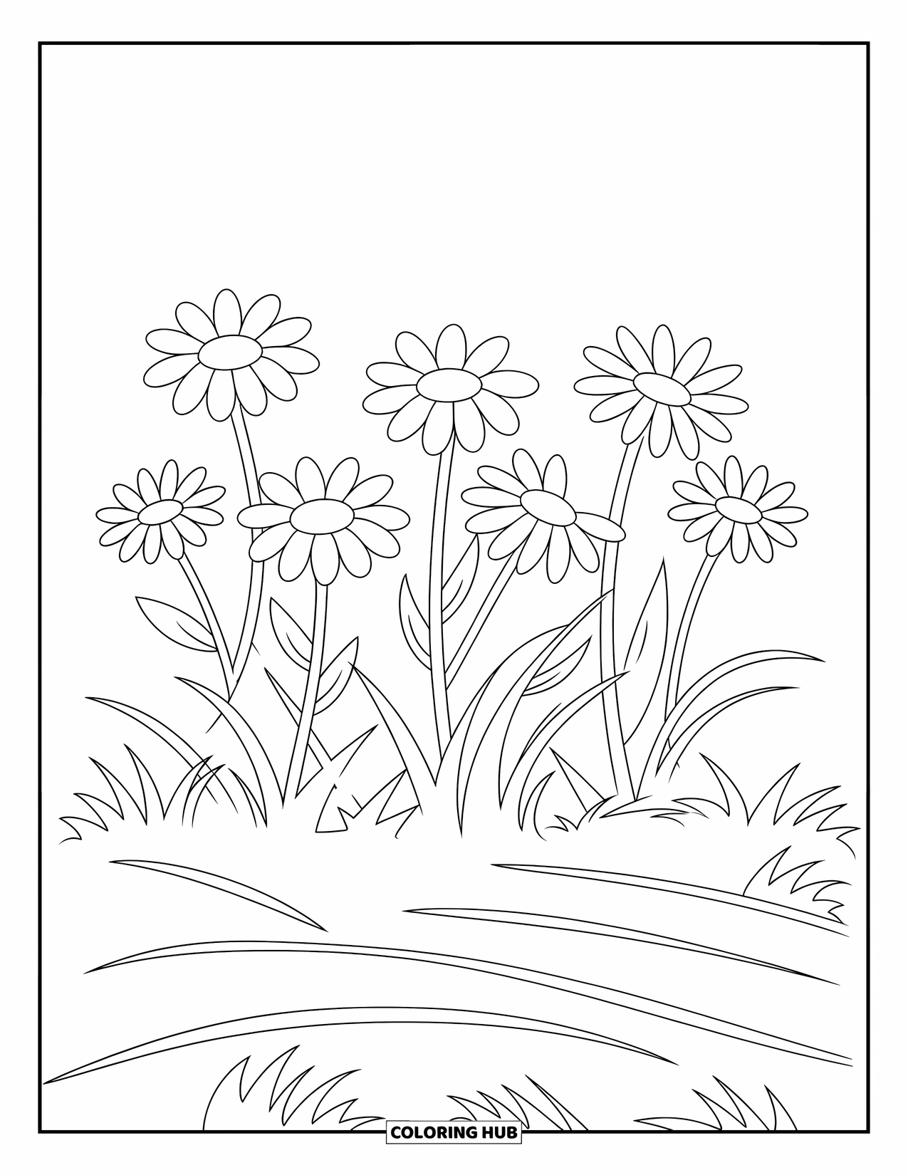 Desen de colorat floral pentru copii: Un strat de grădină plin cu margarete, cu iarbă ondulată și fără umbre sau texturi
