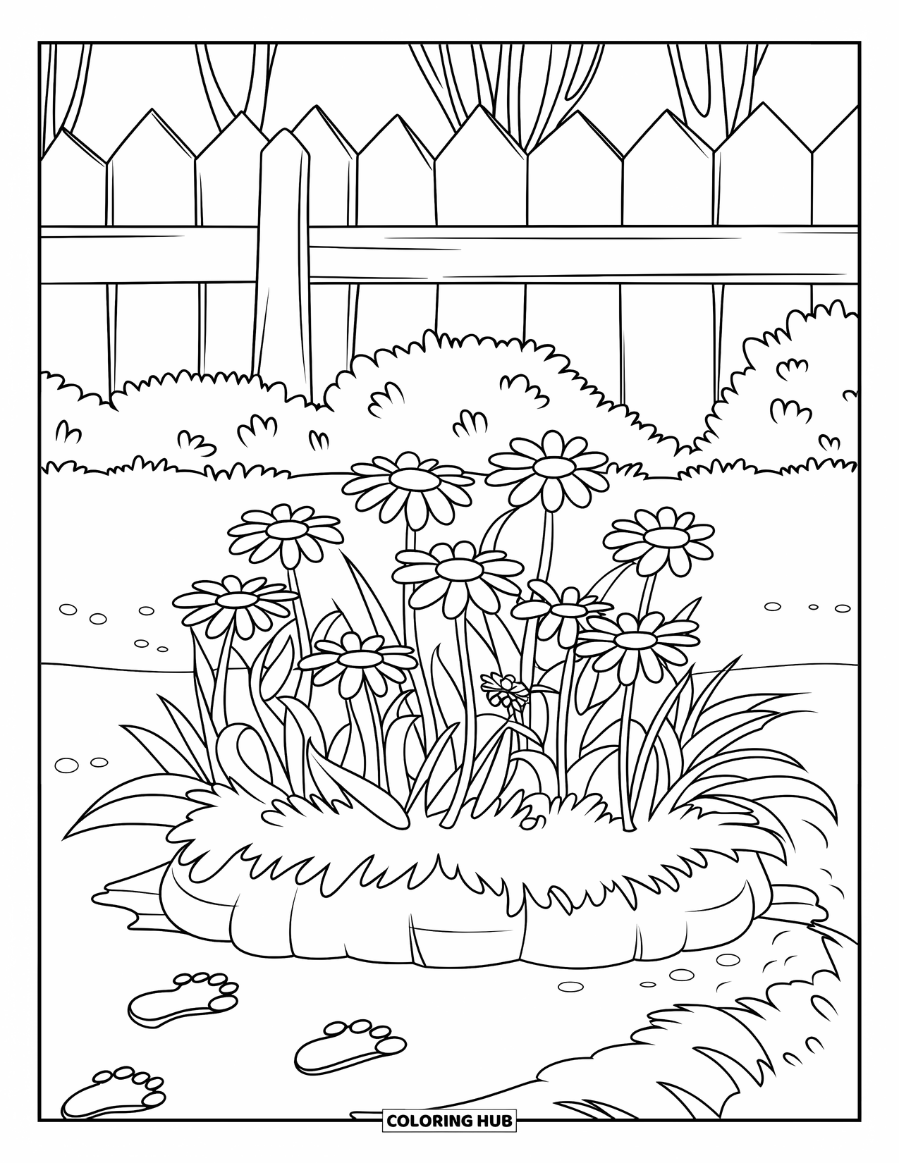 Desen de colorat floral pentru copii: Un strat de grădină cu margarete pe o porțiune de pământ, care duce la urme de pași