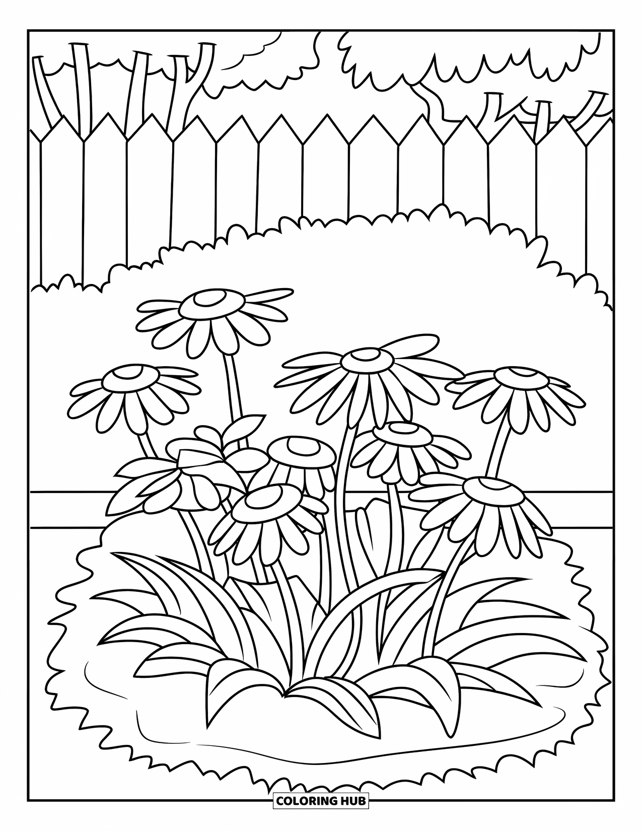 Desen de colorat floral pentru copii: Un grup de margarete care cresc într-un strat de grădină cu iarbă moale, ondulată