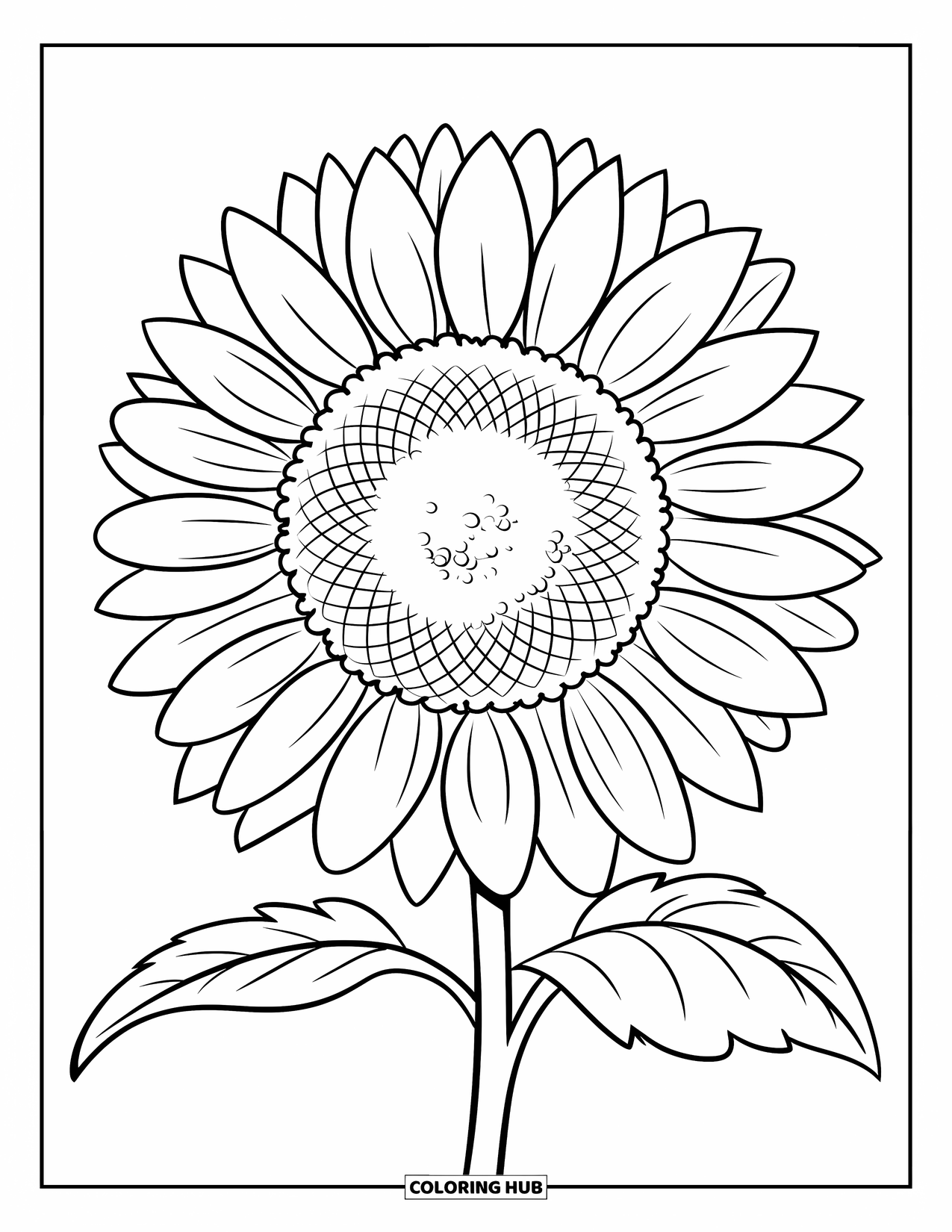 Desen de colorat floral pentru copii: Un floarea-soarelui mare cu un centru rotund mare și contururi îndrăznețe
