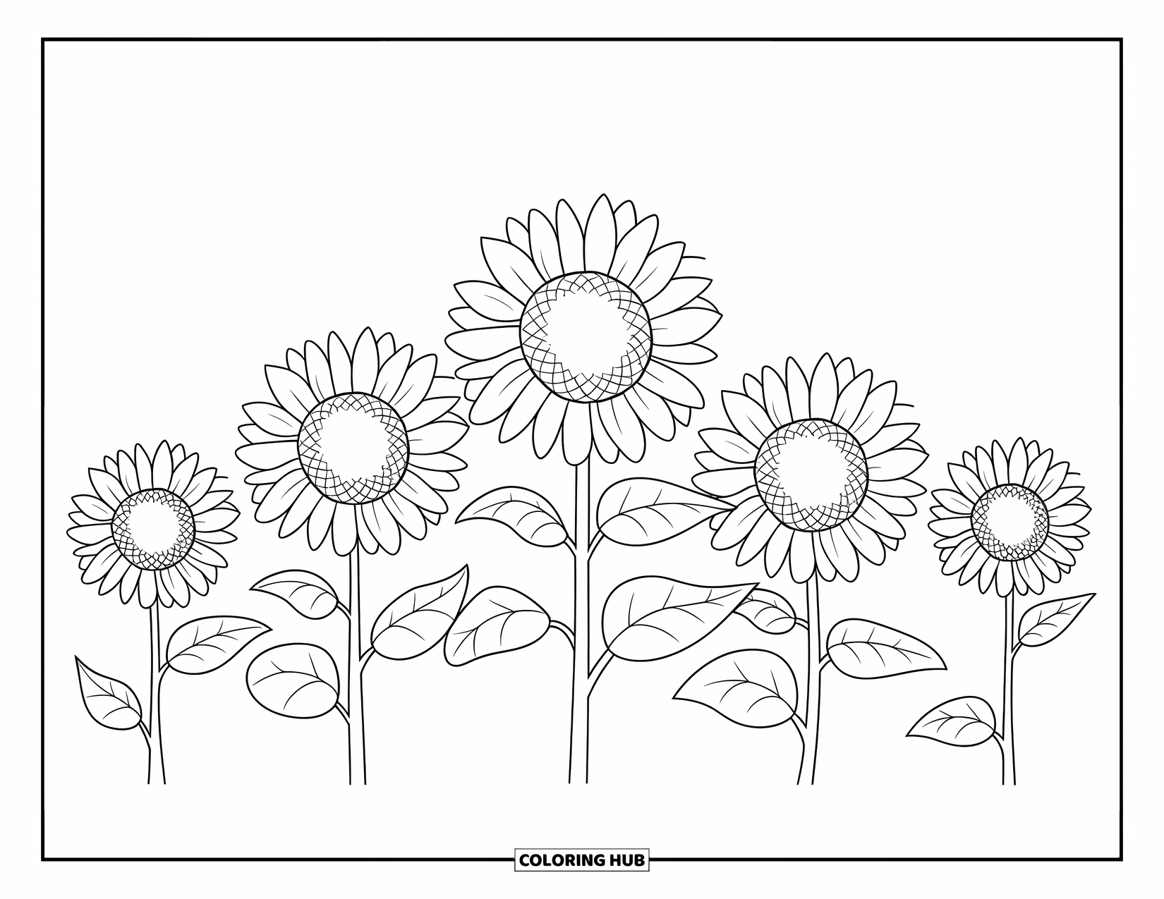 Desen de colorat floral pentru copii: Un rând de cinci floarea-soarelui cu contururi curate și îndrăznețe