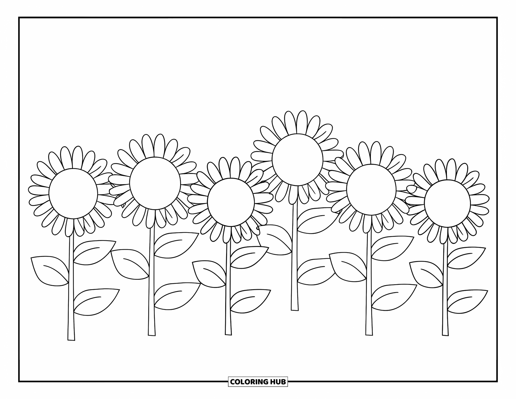 Desen de colorat floral pentru copii: Un rând de floarea-soarelui cu petale mari și frunze verzi, conceput pentru preșcolari