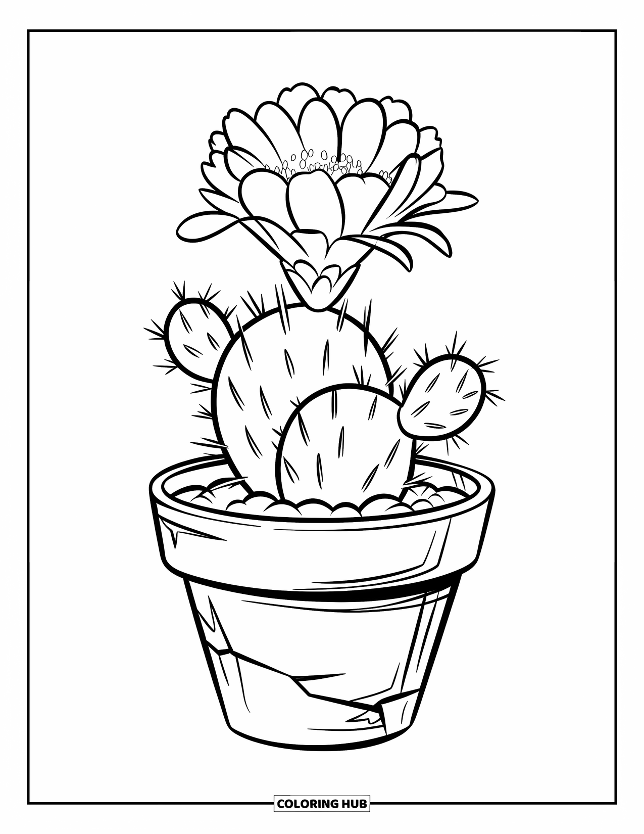 Desen de colorat floral pentru copii: Un cactus scurt și rotund, cu spini și o floare înflorită într-un ghiveci crăpat