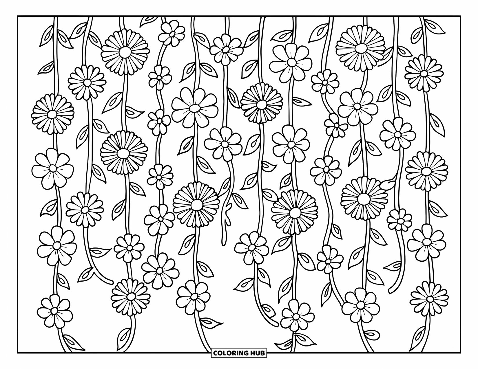 Desen de colorat floral pentru copii: Cortină florală de viță de vie agățată, cu viță de vie lungă acoperită cu flori, creând un fundal de grădină