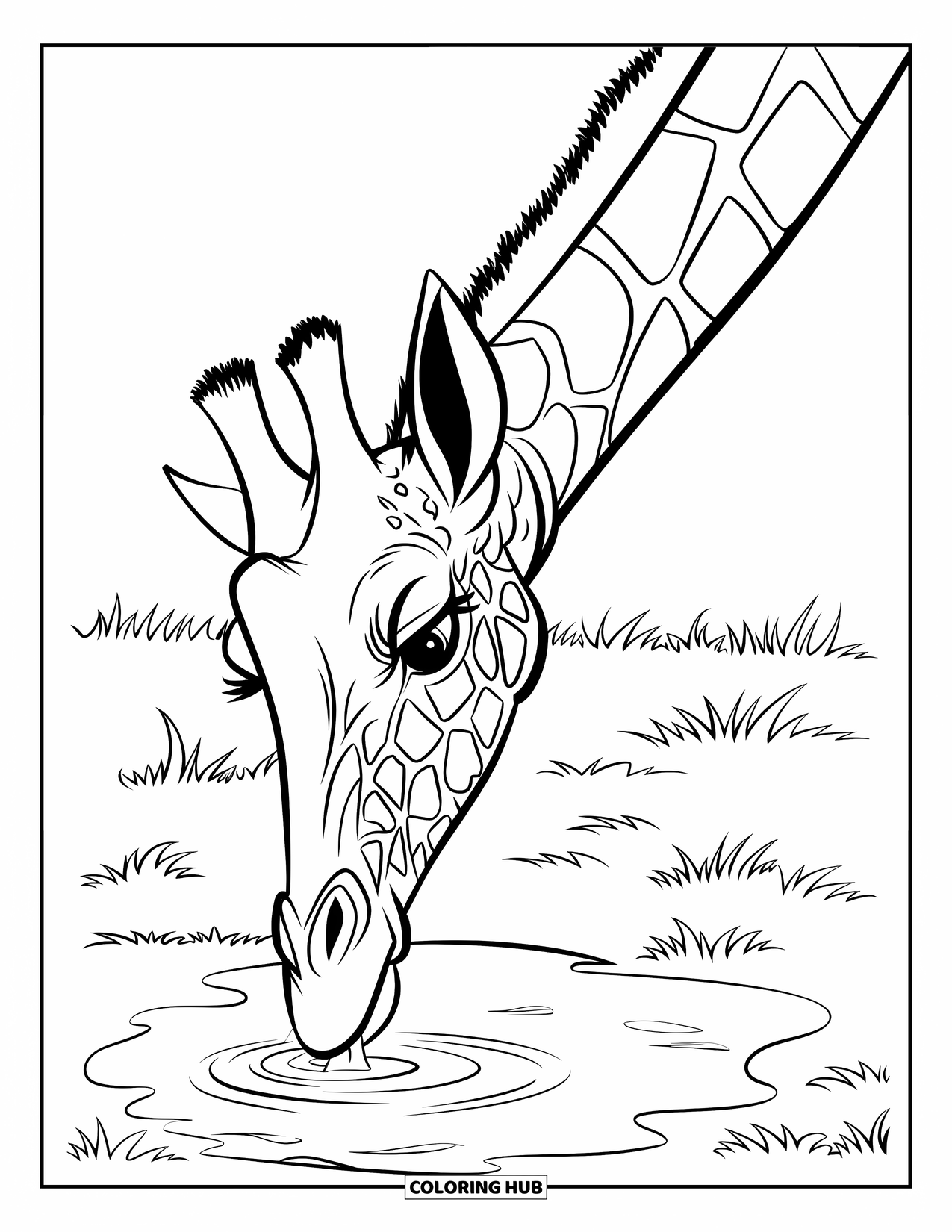 Disegno di giraffa da colorare per bambini: una giraffa piega il suo lungo collo per bere da una pozzanghera increspata