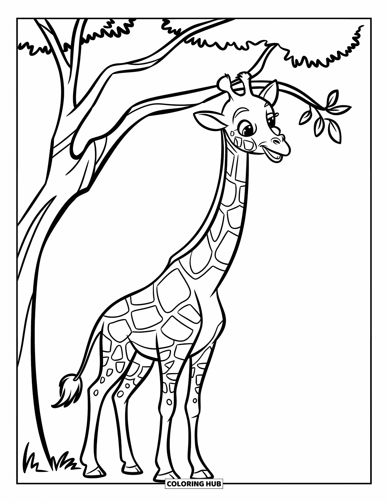 Disegno di giraffa da colorare per bambini: una giraffa allunga il collo per mangiare le foglie degli alberi