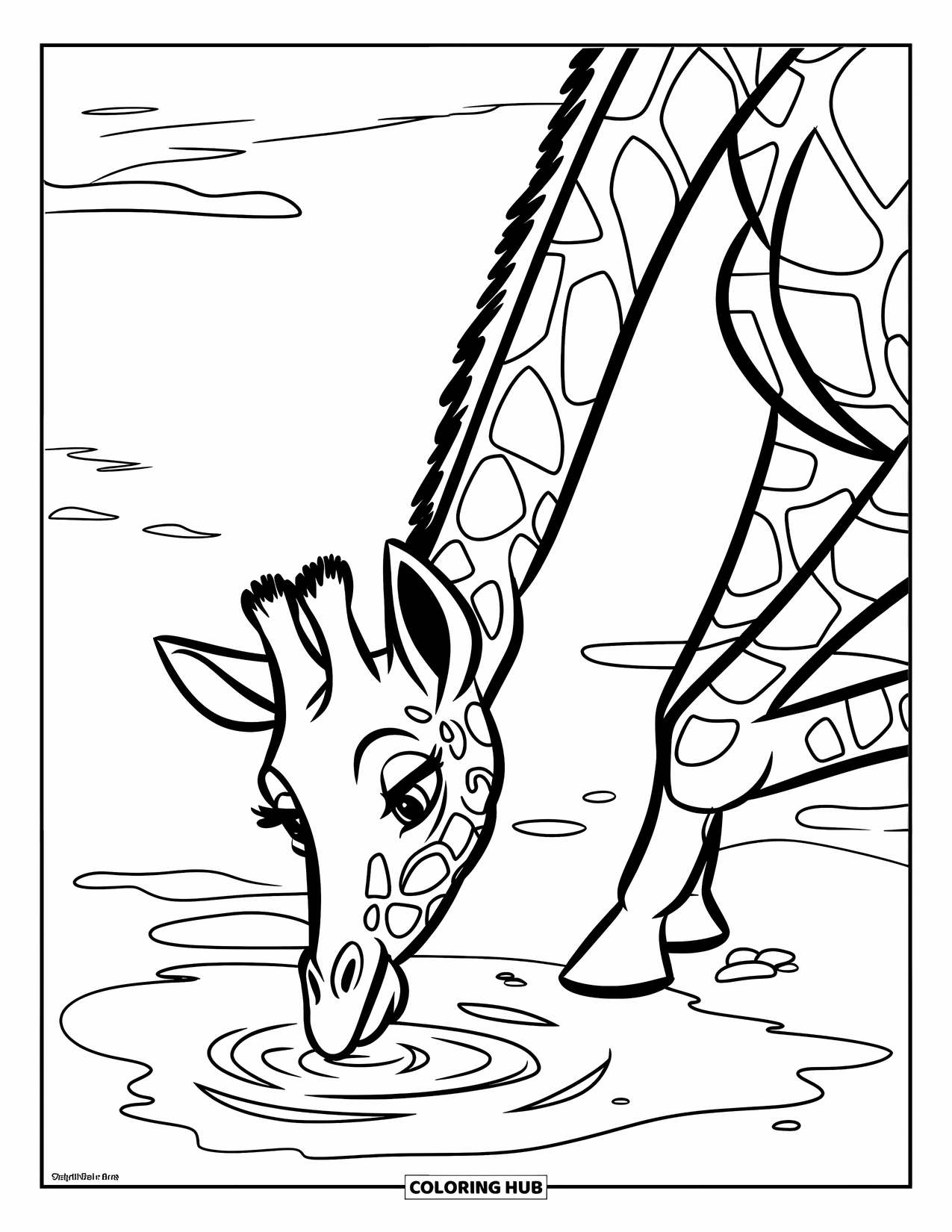 Disegno di giraffa da colorare per bambini: una giraffa abbassa la testa per bere acqua vicino a una chiazza erbosa